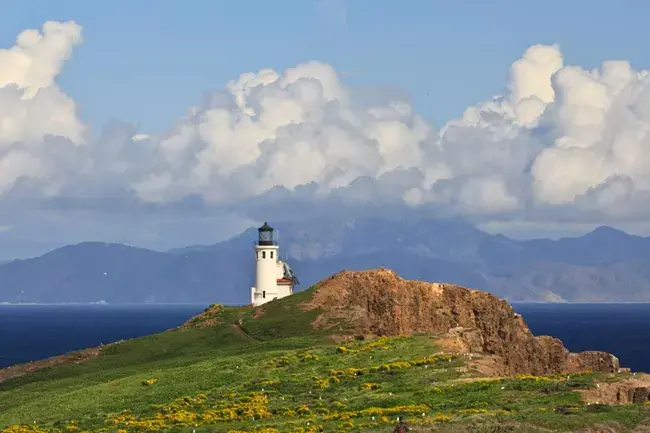 White lighthouse on a green hill overlooking the ocean under a cloudy sky.