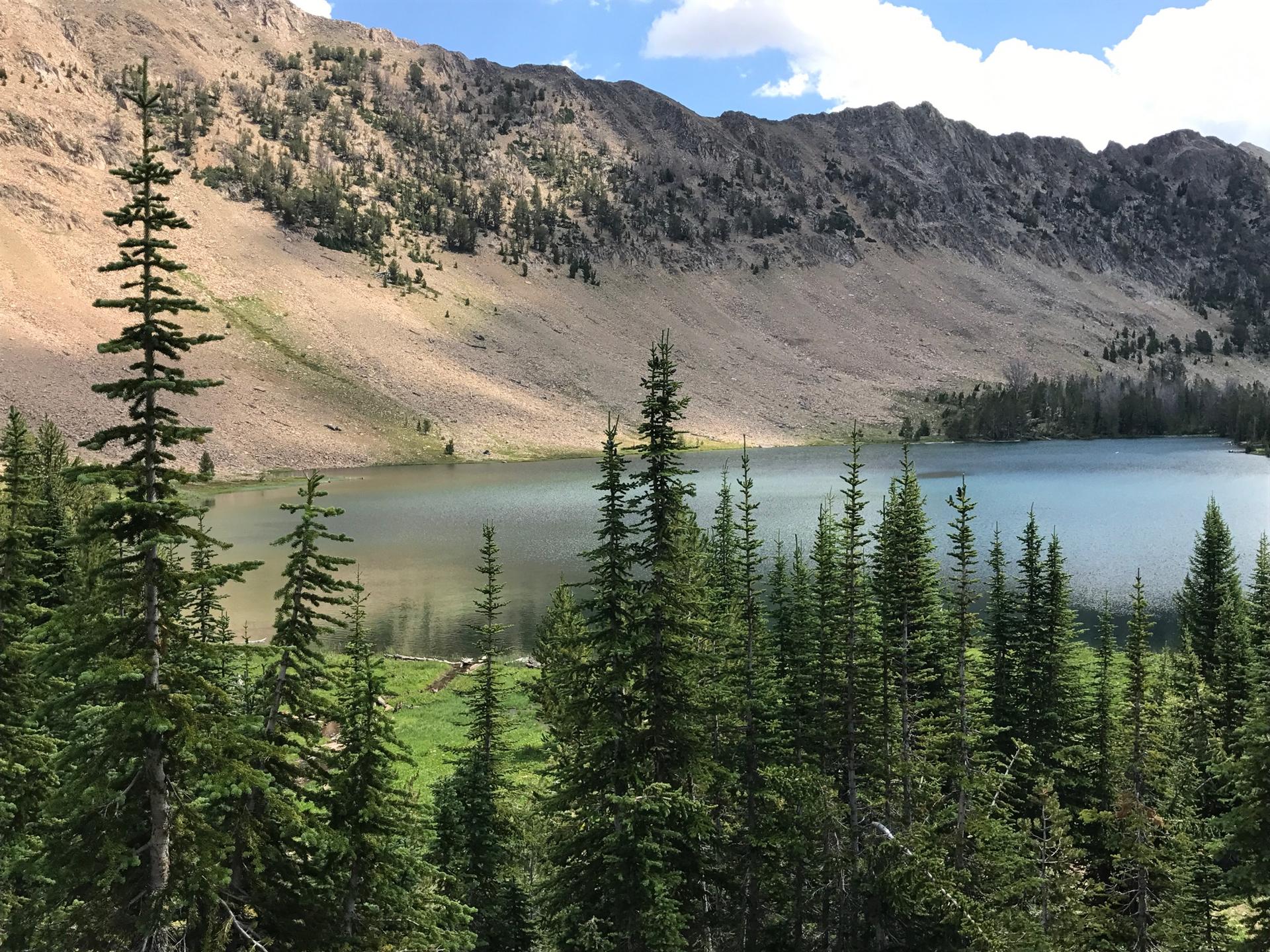 Alpine lake surrounded by green pine trees and rocky mountains under a sunny sky.