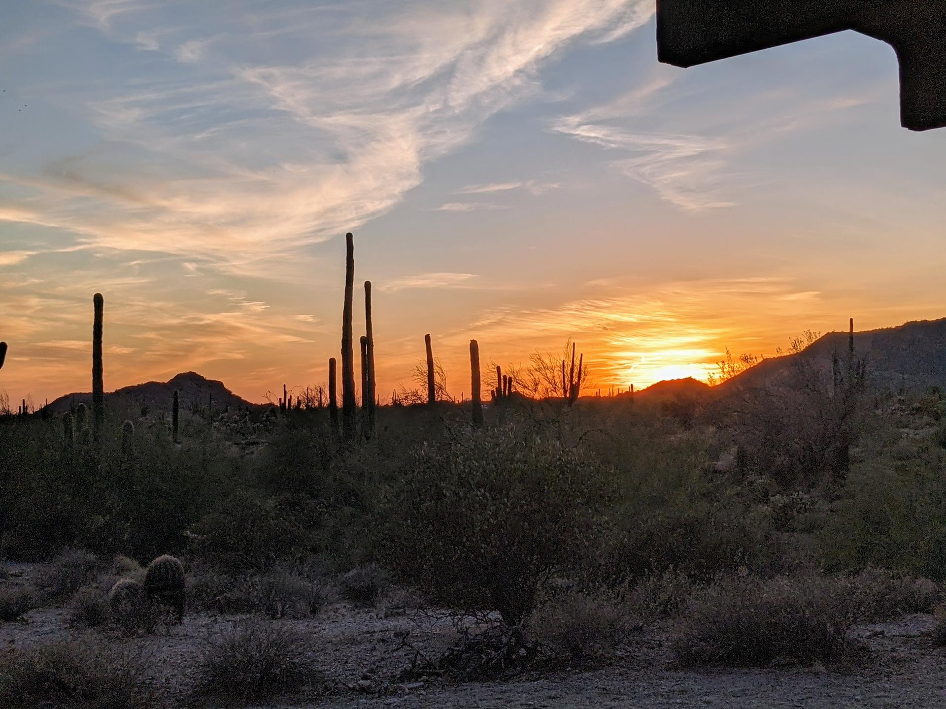 Desert sunset with saguaro cacti silhouetted against an orange and pink sky.