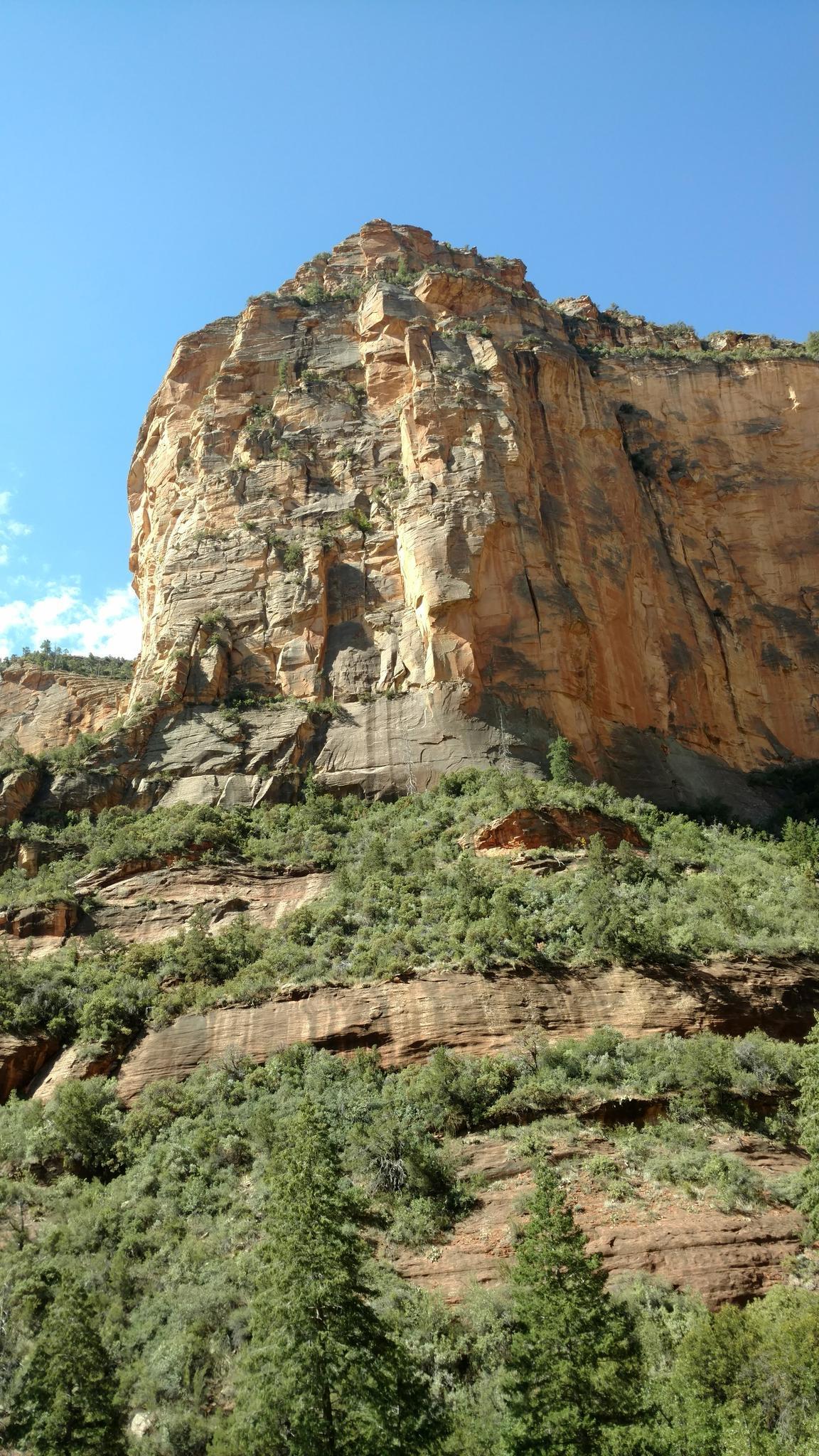 Towering rock cliff with green vegetation under a clear blue sky.