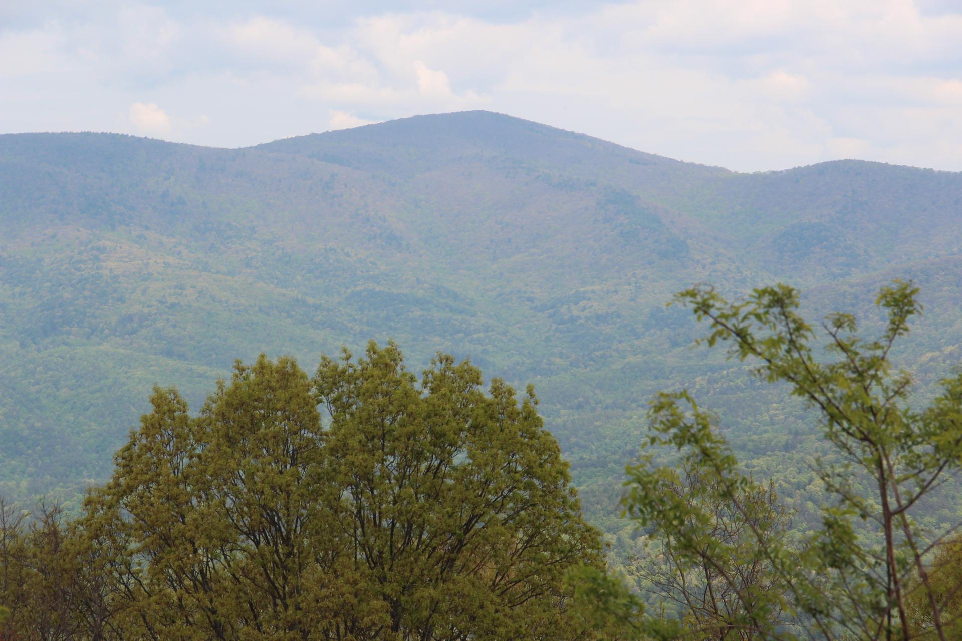 Distant, forested mountains under an overcast sky, with green trees in the foreground.