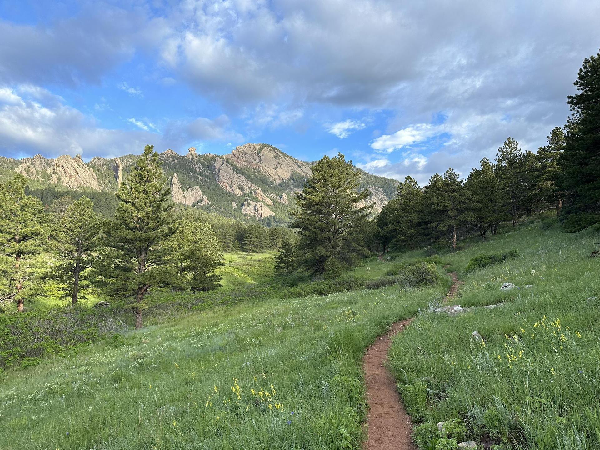 A winding dirt path through a green meadow with pine trees and mountains.