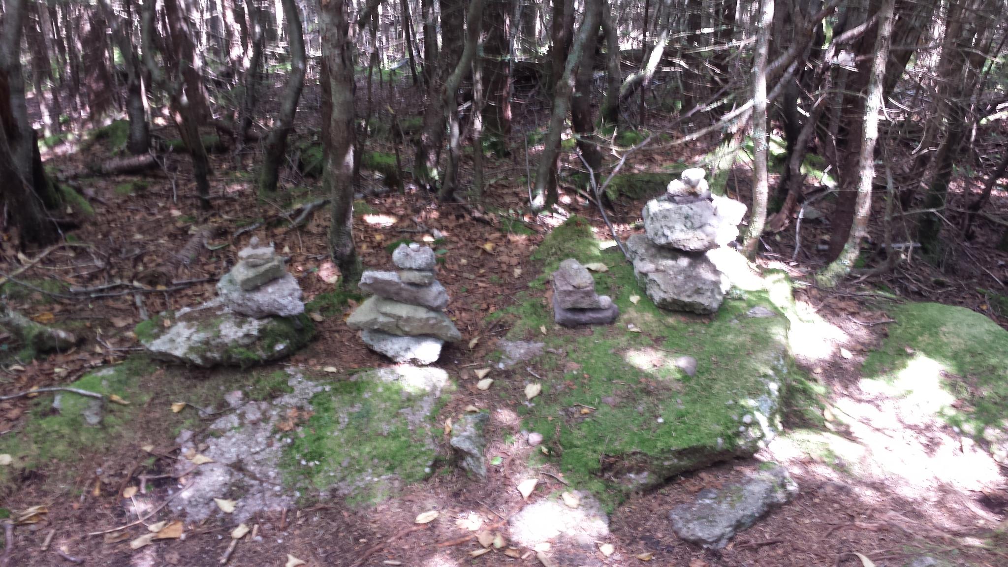 Several rock cairns on a mossy forest floor with dappled sunlight.