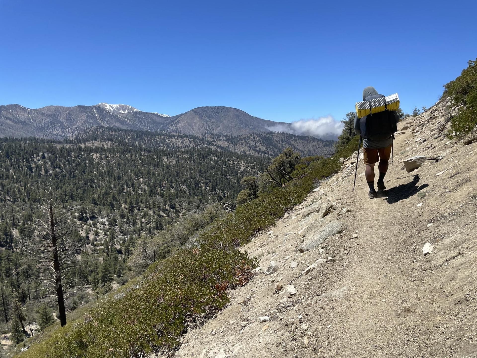 Hiker with large backpack walking on a sunny mountain trail.
