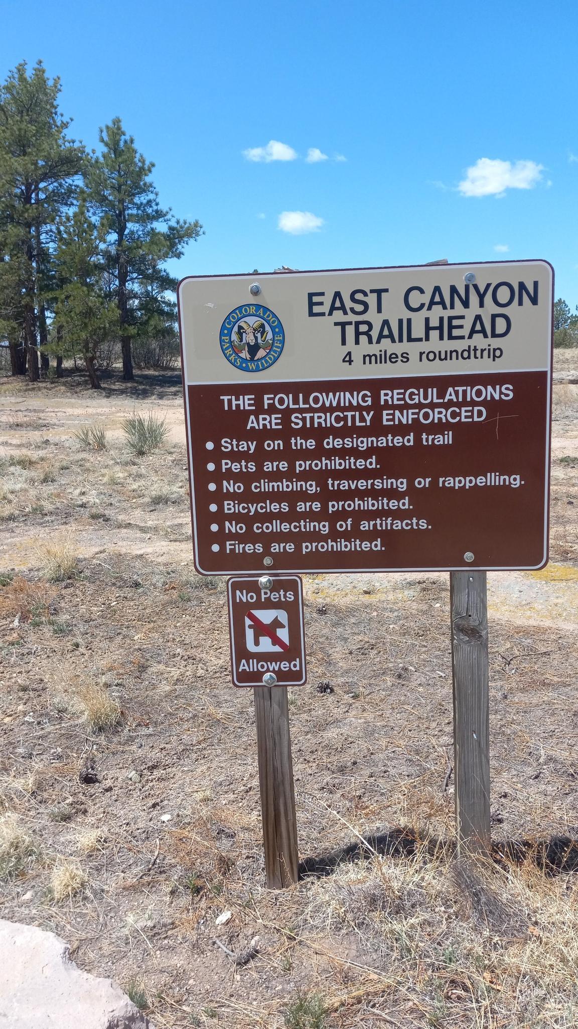 A brown trailhead sign with regulations on a sunny day.