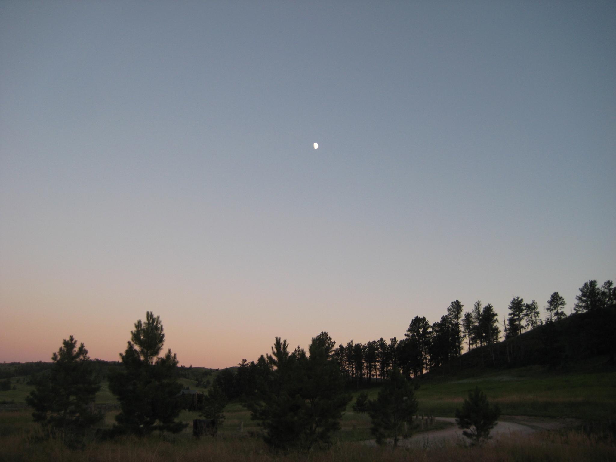 Moon visible in a twilight sky over a dark treeline and open field.
