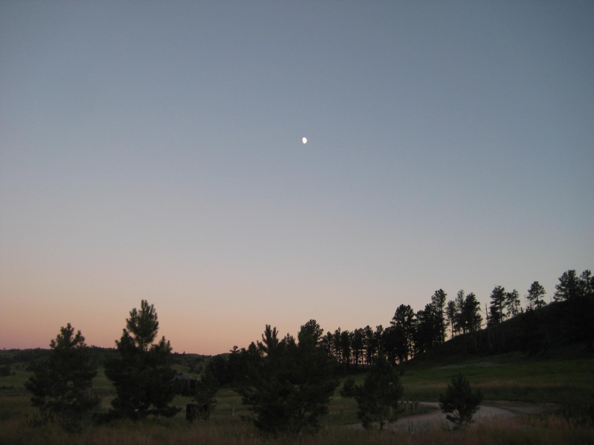 Moon visible in a twilight sky over a dark treeline and open field.