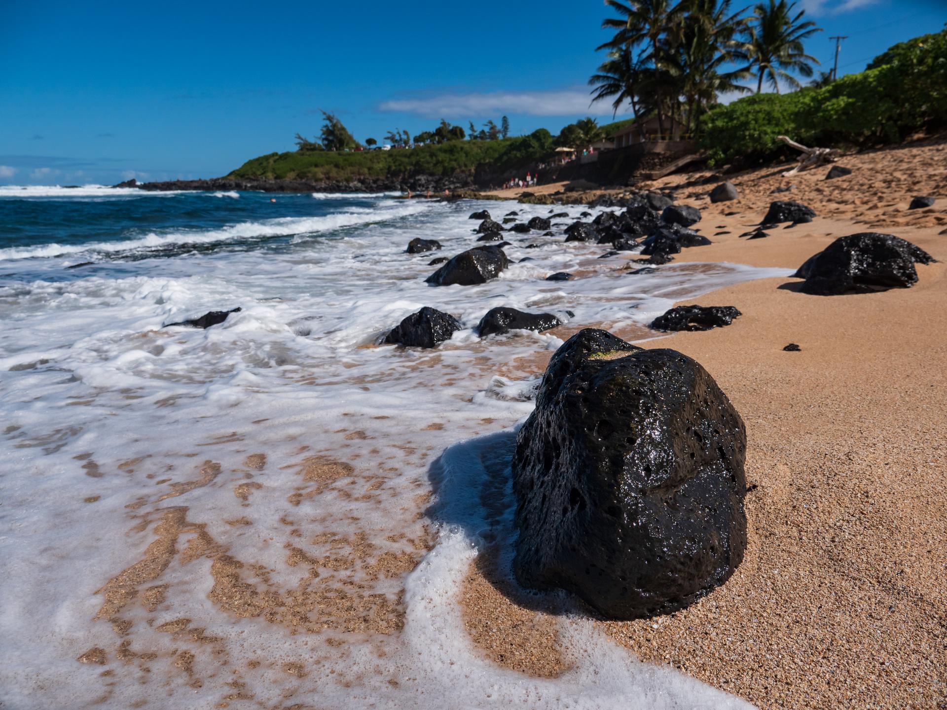 Sunny beach with black rocks, white ocean waves, and palm trees.