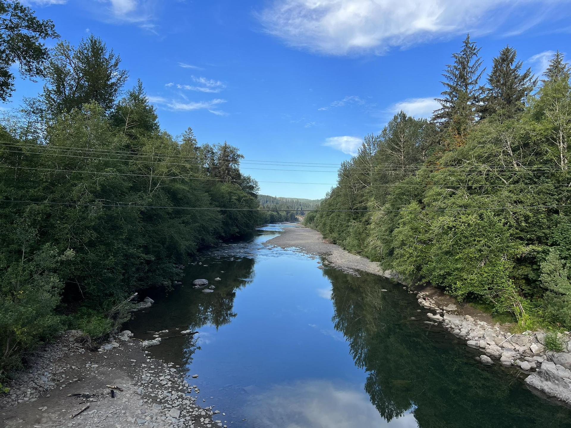 Calm river reflecting blue sky, flanked by dense green forest under sunny conditions.
