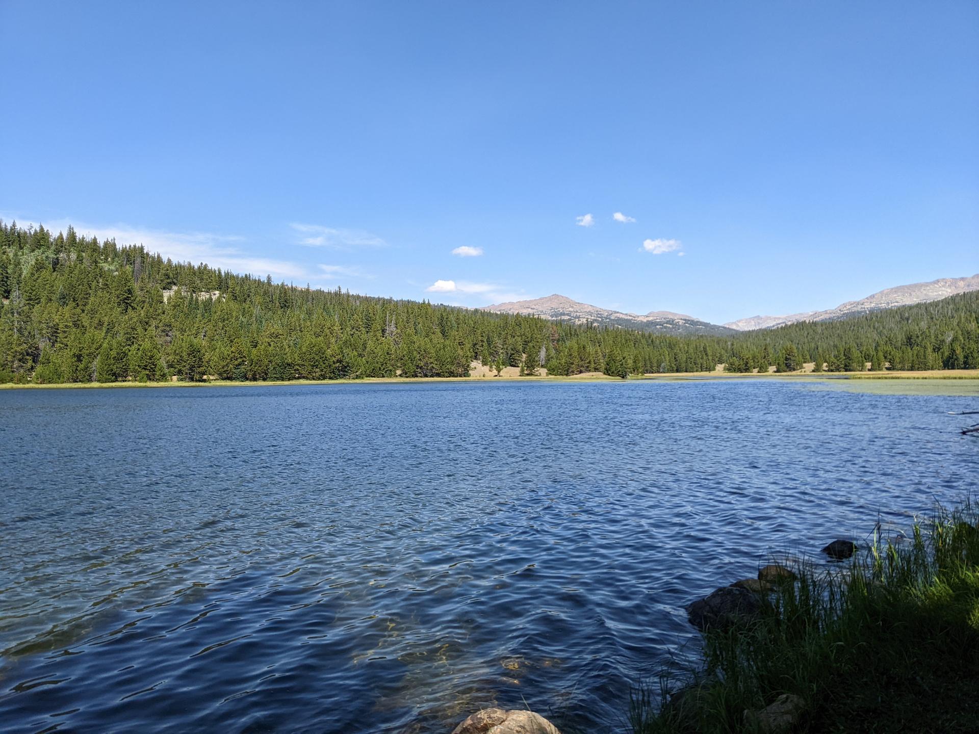 Large lake with pine forest and distant mountains under a clear blue sky.
