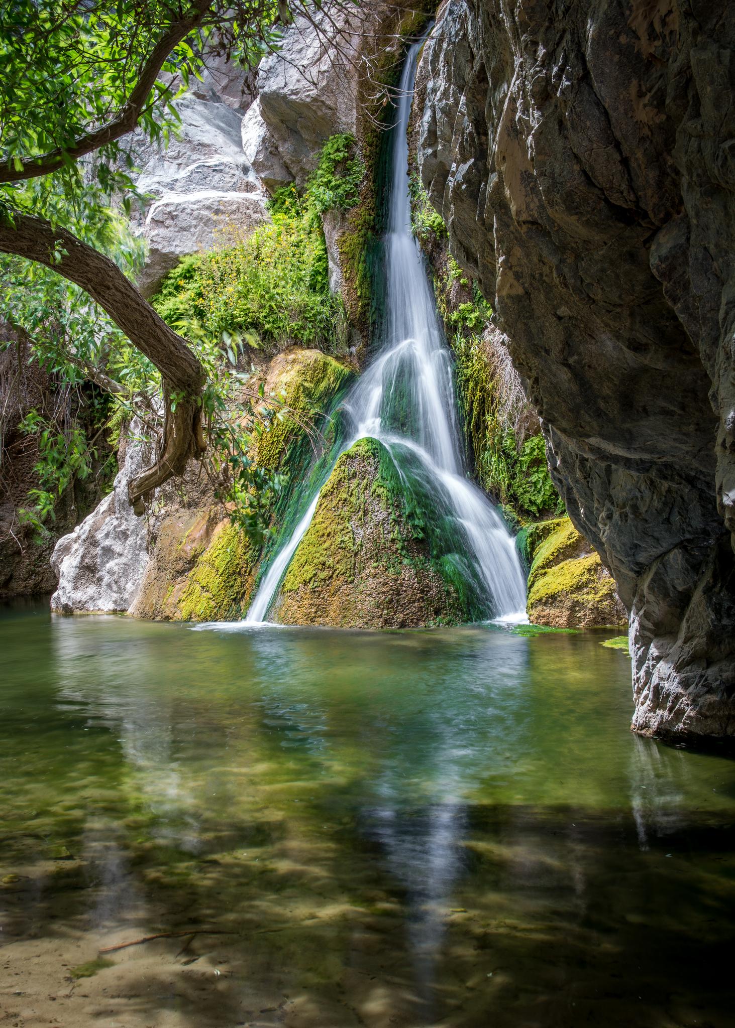 A beautiful waterfall cascades into a clear green pool within a rocky, mossy grotto.