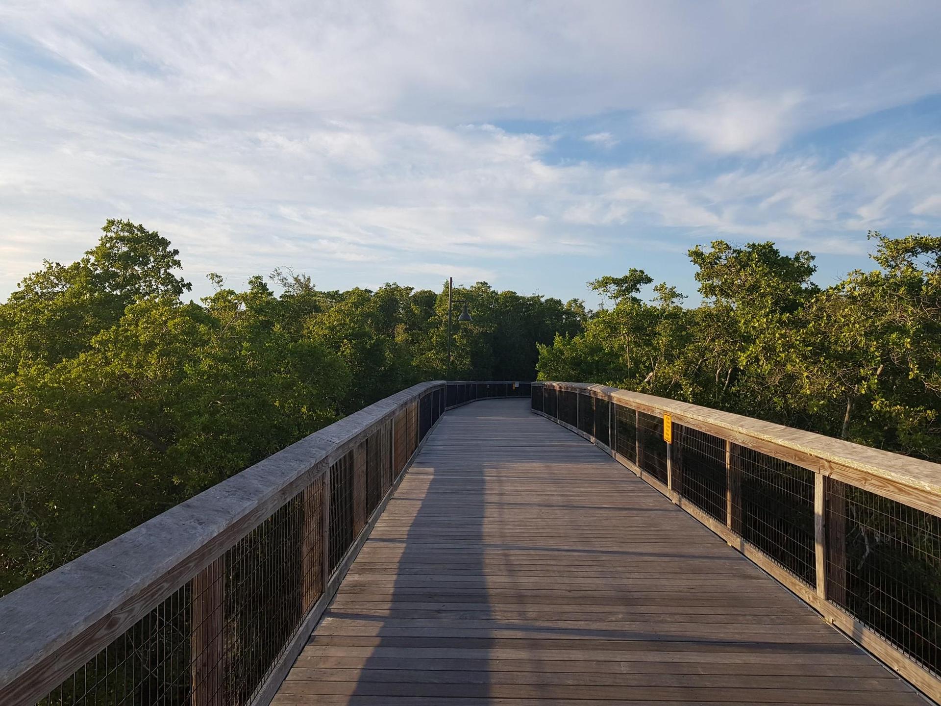 A long wooden boardwalk curves through a dense green forest under a bright sky.