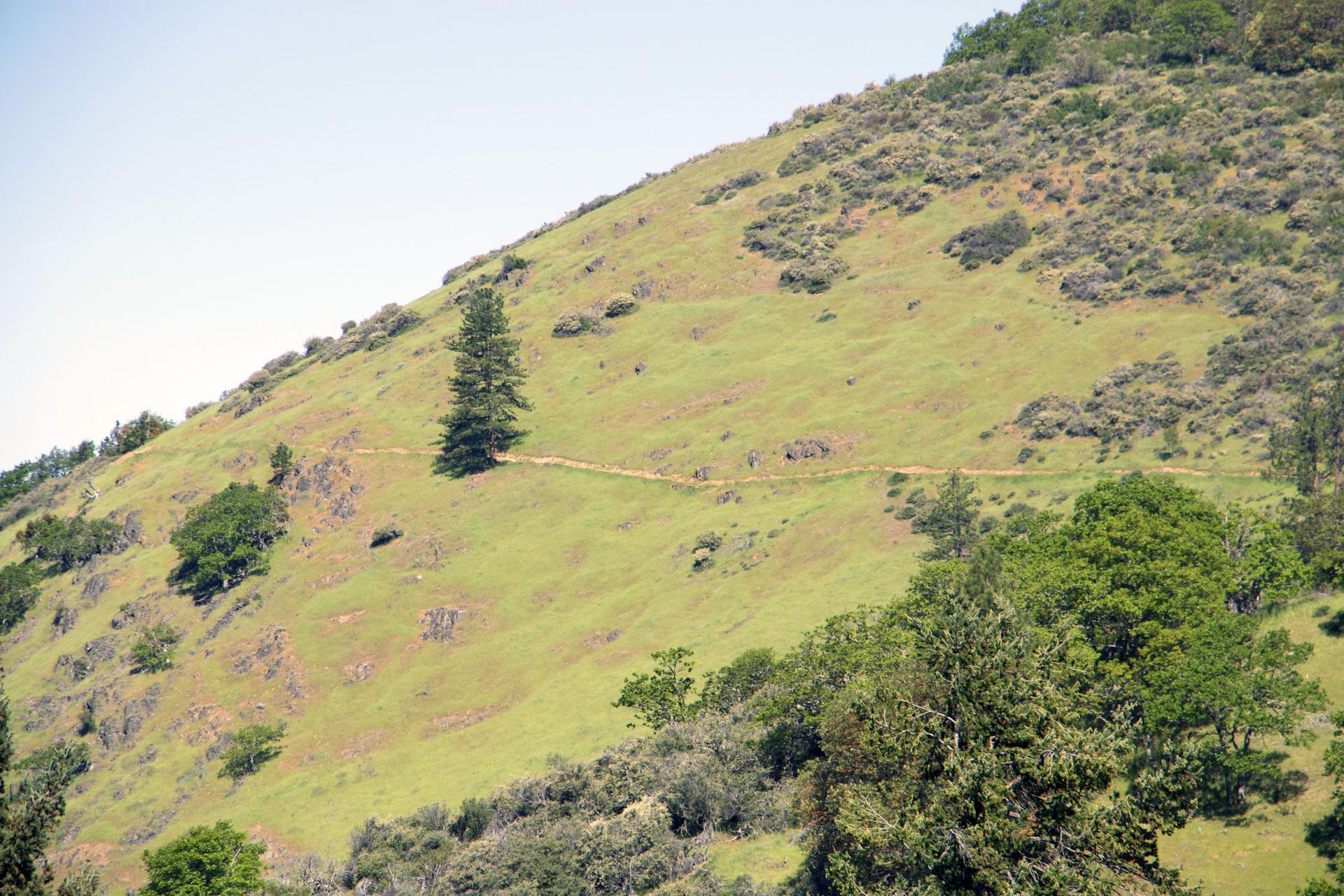A winding dirt path crosses a steep, green hillside under bright daylight.