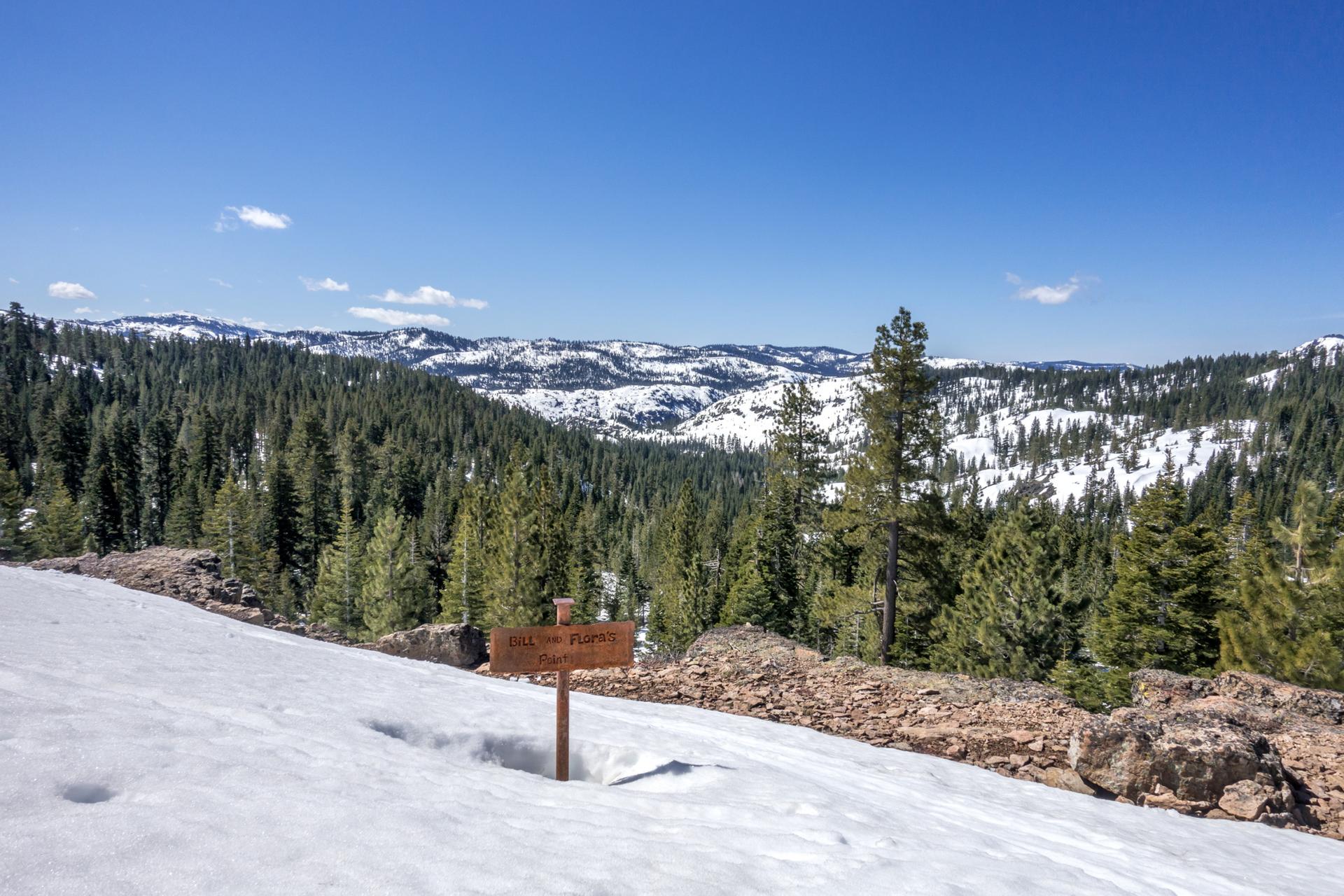 Snowy mountain landscape with evergreen trees and a wooden sign under a clear blue sky.