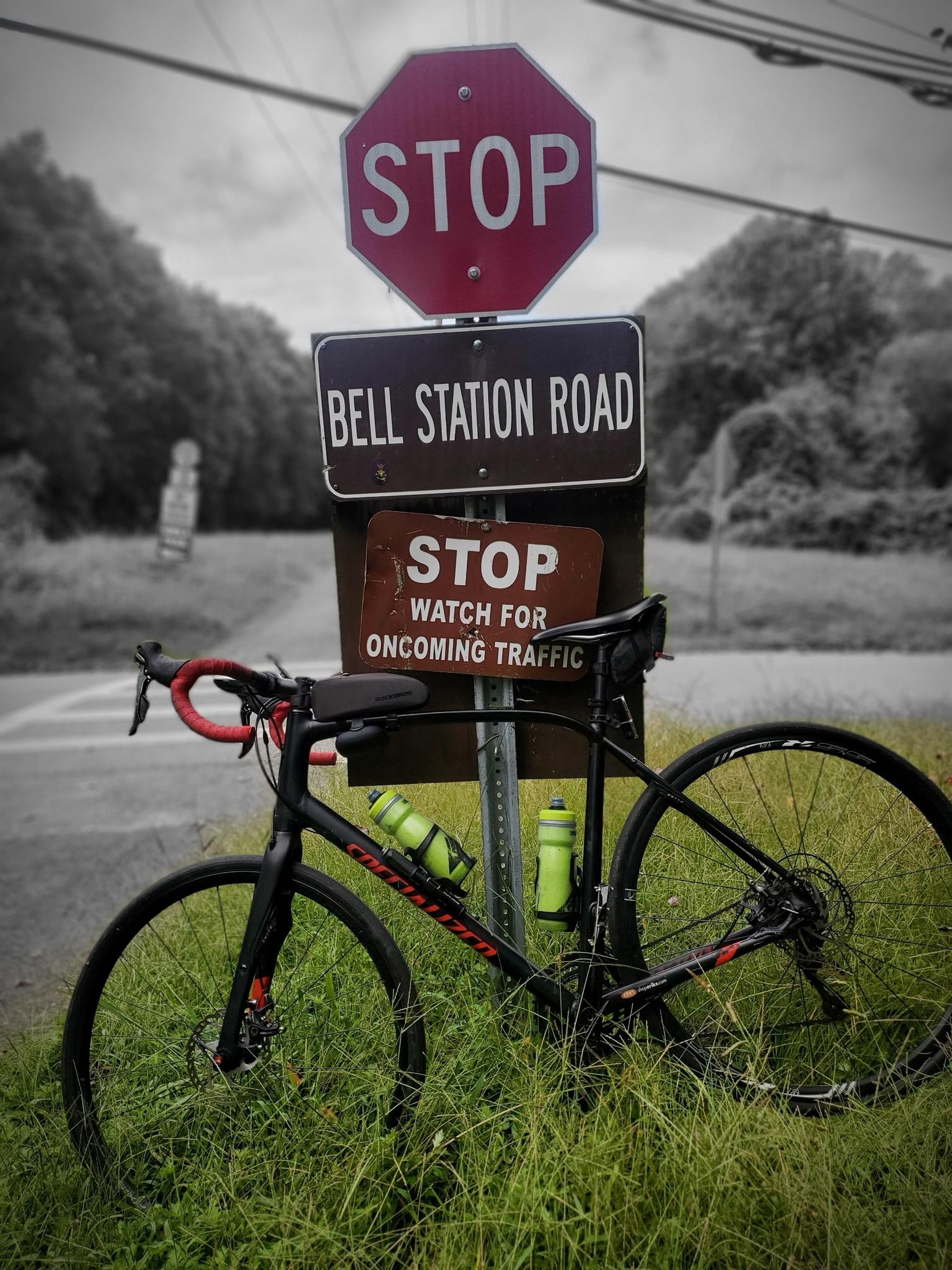 Black bicycle parked next to stop signs on a grassy roadside, selective color.