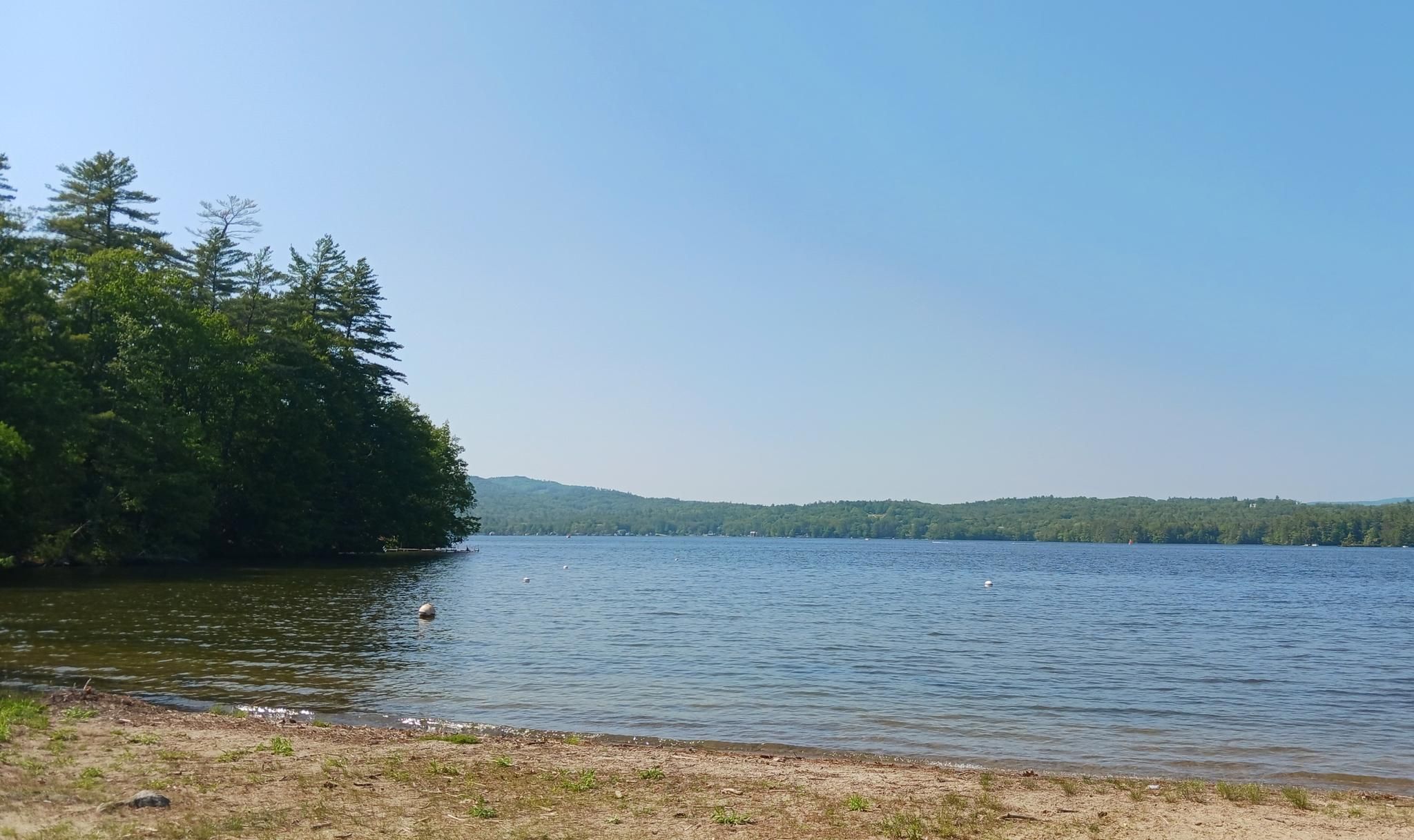 Calm lake with a sandy shore and dense green forest under a clear blue sky. - Northern Rail Trail