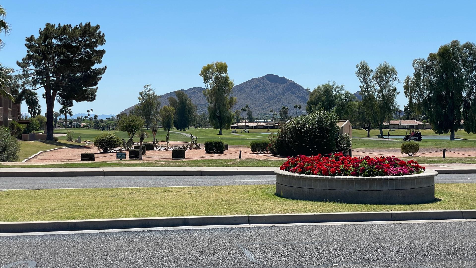 A sunny golf course with a mountain backdrop and a circular flower bed.