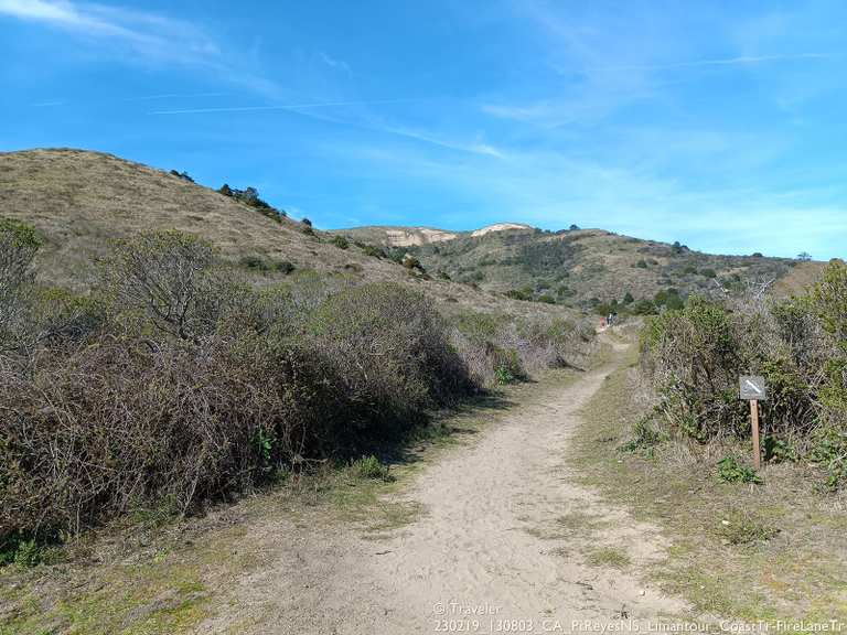 Woodward Valley Trail & Fire Line Trail loop — Point Reyes National ...