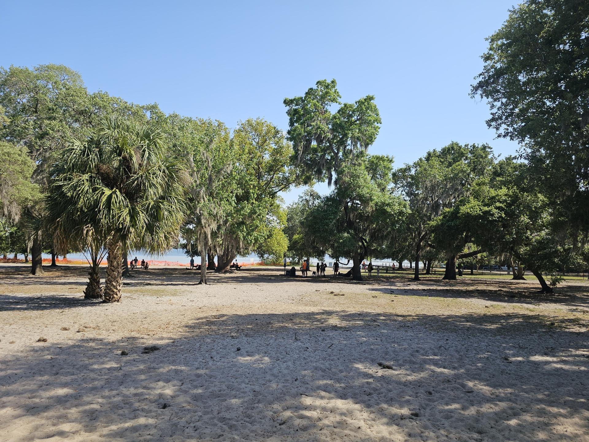 Sunny sandy clearing with trees, people gathered near distant water.