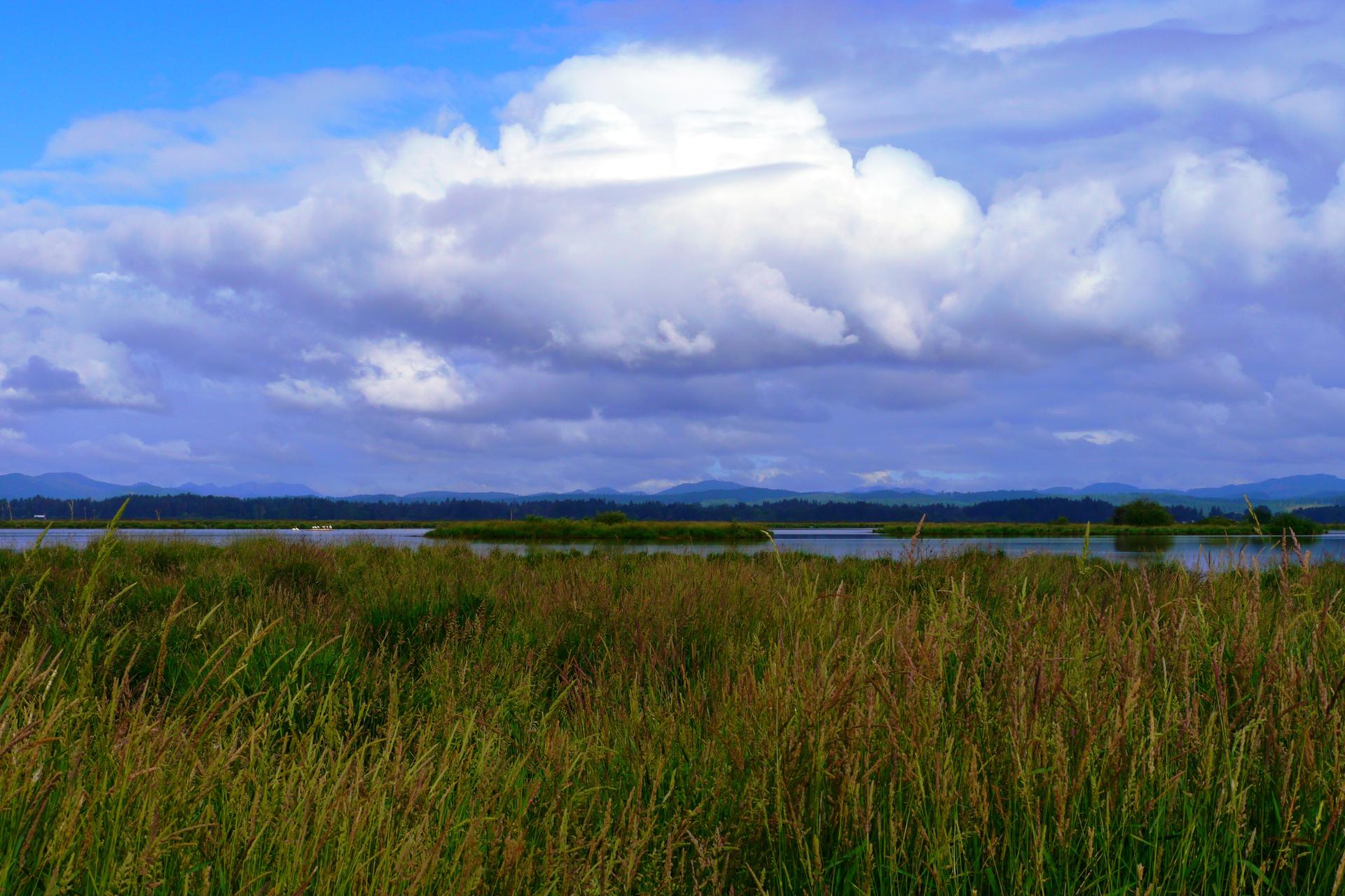 Tall grass in foreground, calm water, distant mountains under a cloudy sky.