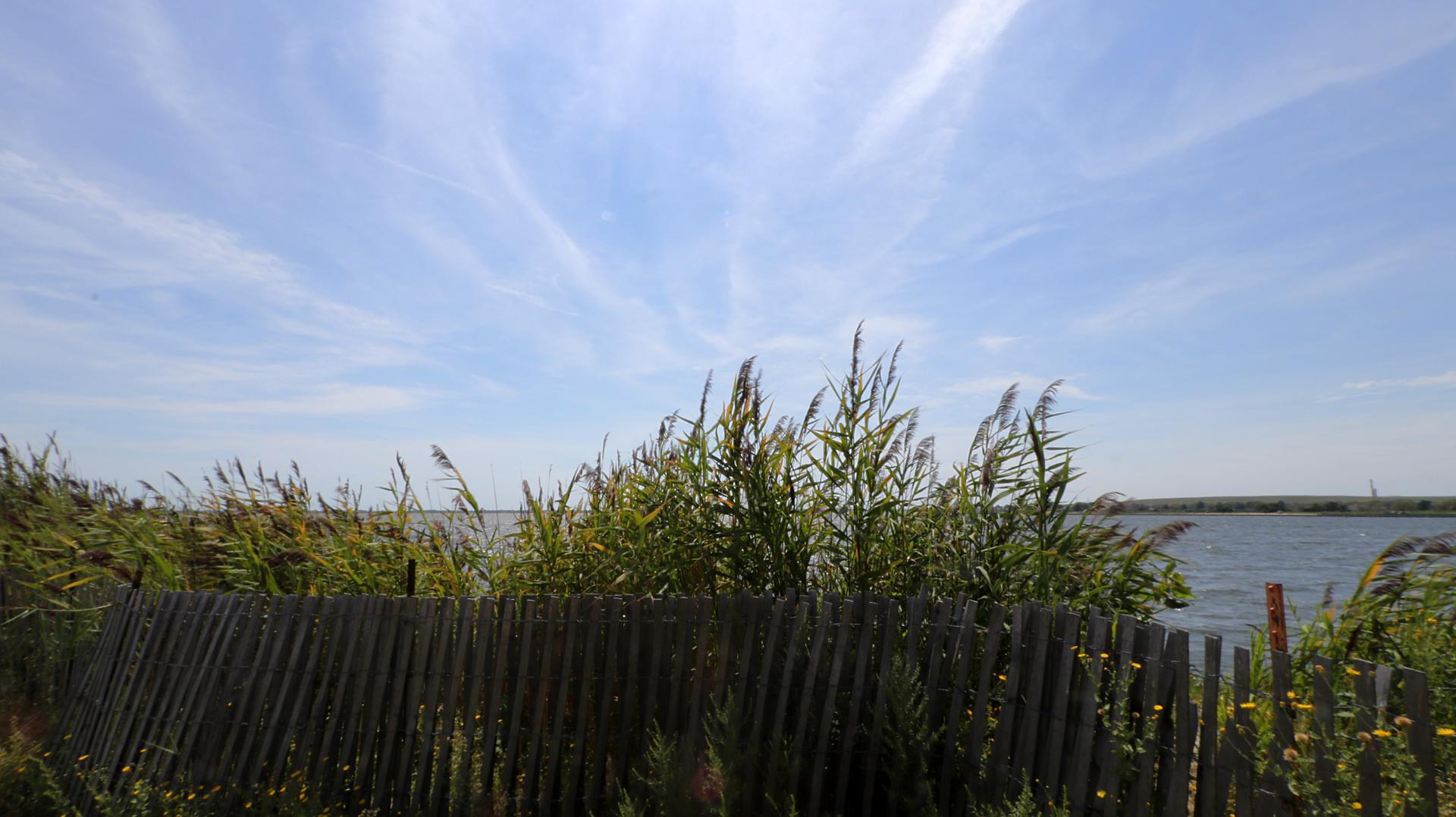 Wooden fence and tall grass by water under a bright, sunny sky.