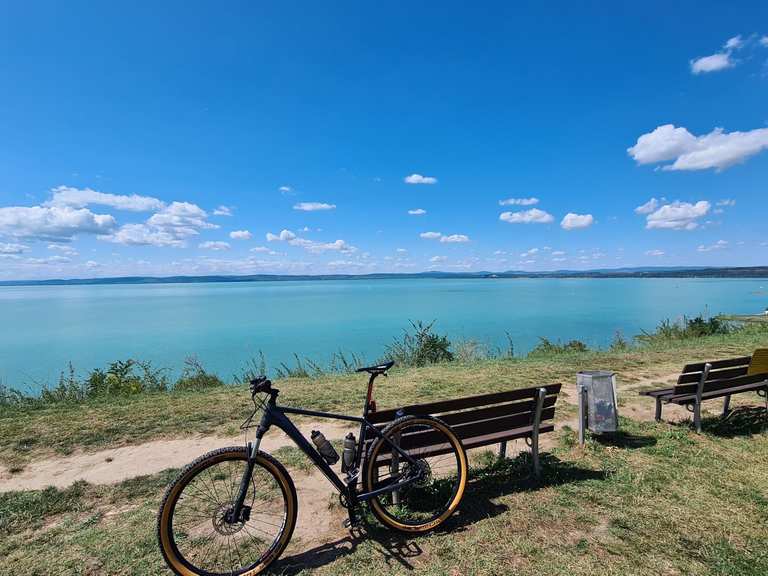 fahrradschuhe herren vaude atmungsaktive TVL Pavei 2.0 – Grün – Gr. 40 | SPD-Fahrradschuhe Herren mit Klettverschluss – ideal zum MTB, Gravel oder für Radreisen E-Bike Faltrad FOLD HYBRID Category:E Bikes MTB Cross Fully_Shimano SM RT30 203 mm  Centerlock Battery:Dual Battery