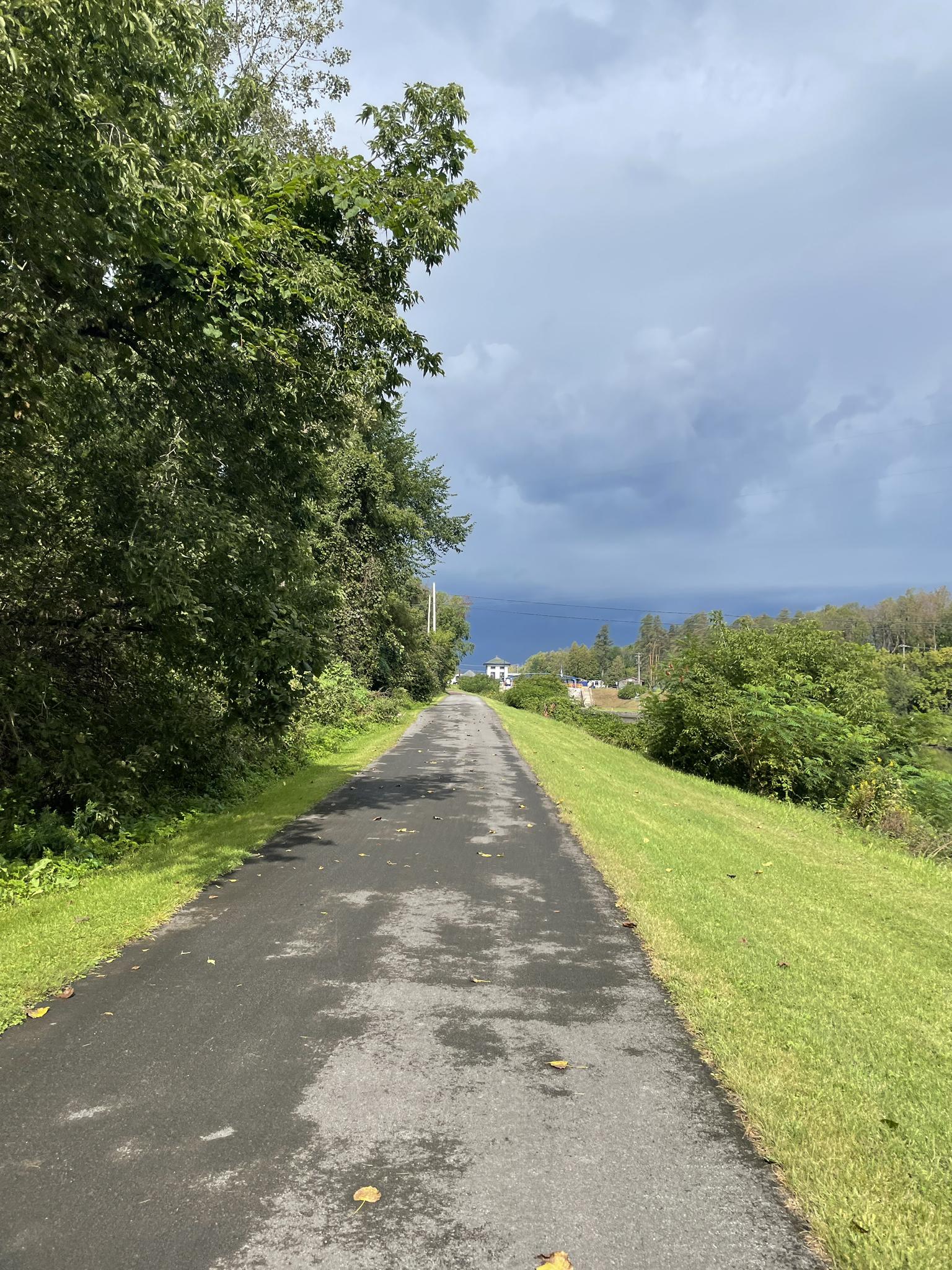 Paved path lined by green trees and grass, leading towards distant blue water.