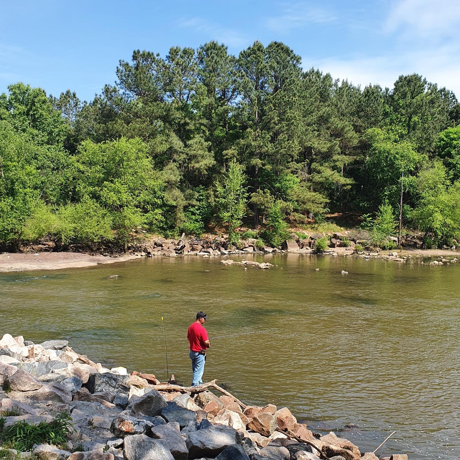 Man fishing from a rocky riverbank on a bright day, dense forest background.