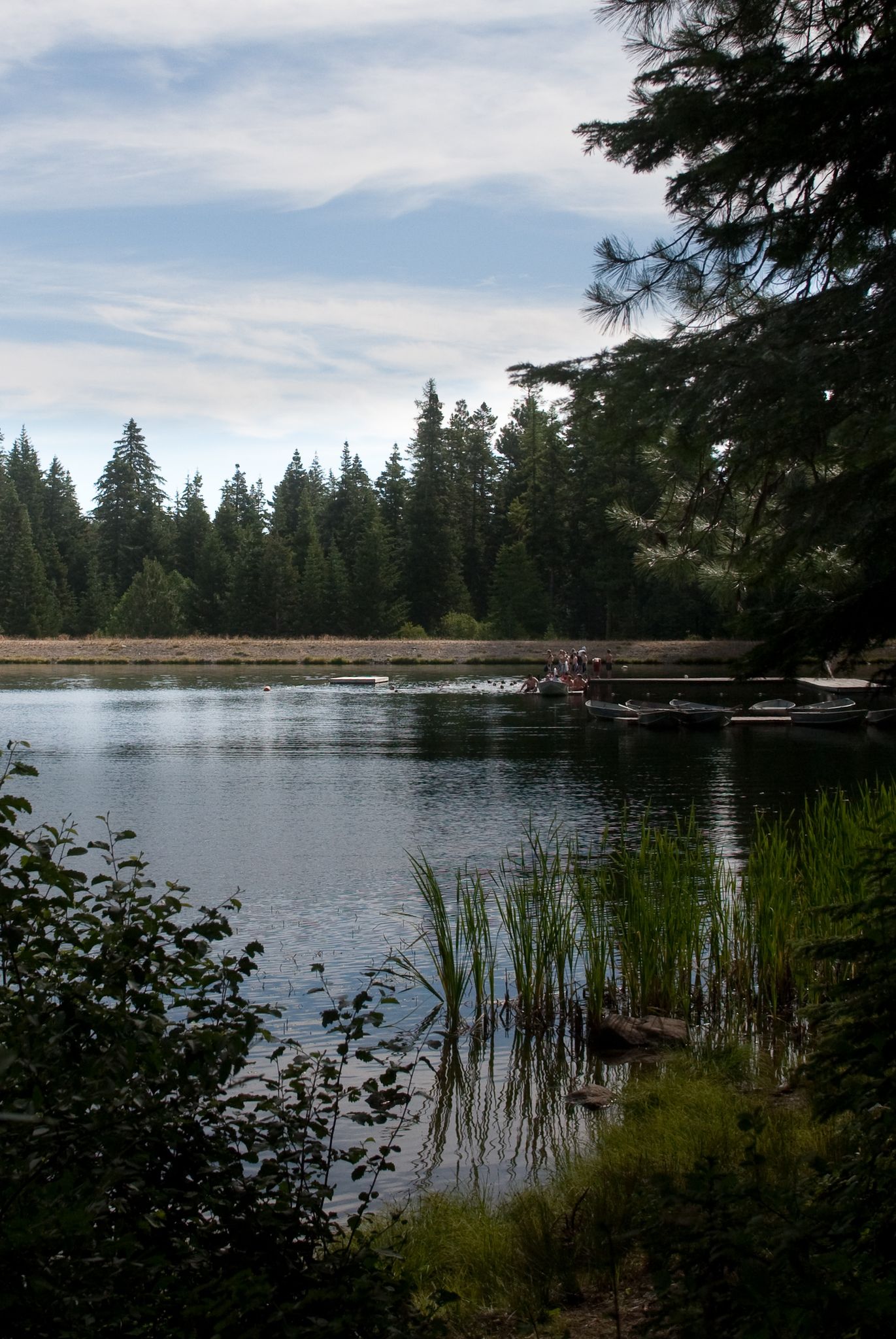 Serene lake, dense forest, people on a dock with boats, soft light. - Silver Lake Park loop