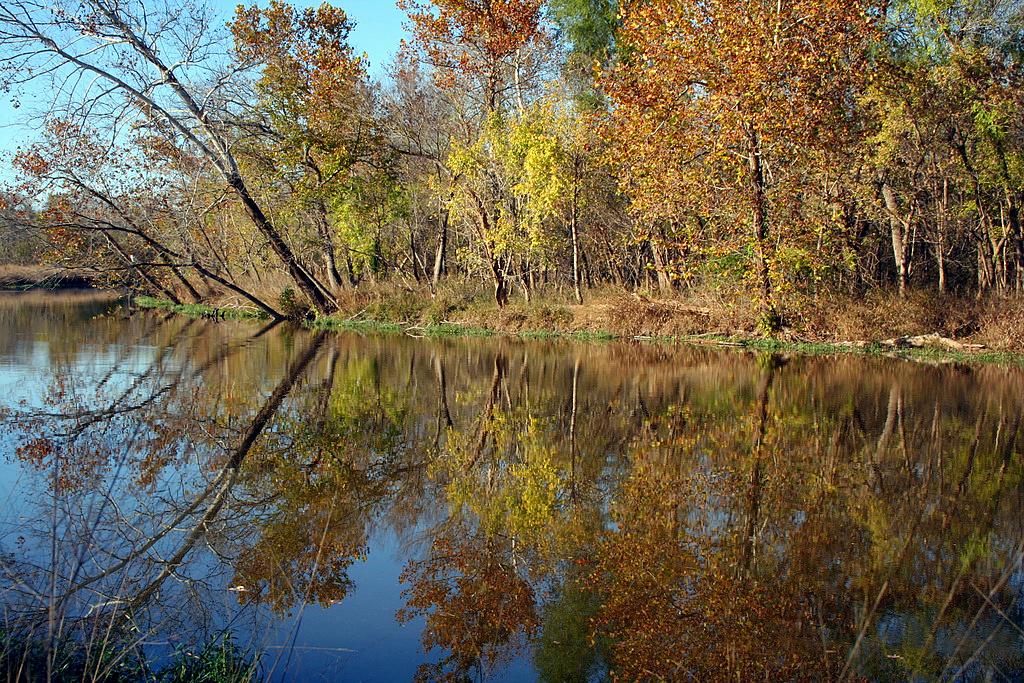 Calm water reflects colorful autumn trees under a bright blue sky.
