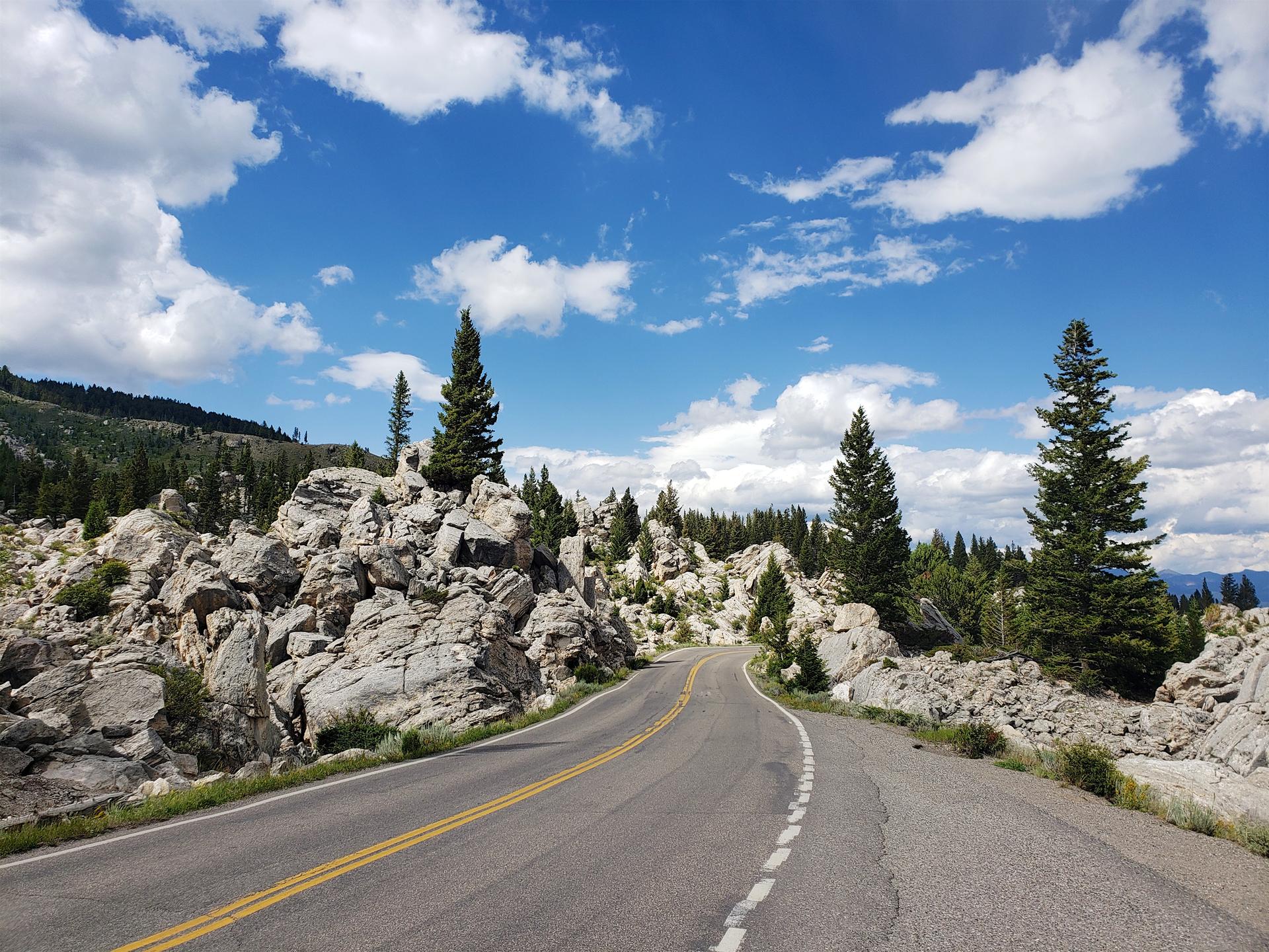 A winding road through rocky terrain and pine trees under a blue sky.