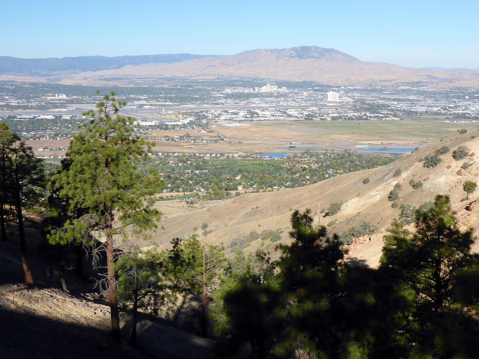 Panoramic view of a city in a valley from a tree-lined hillside on a sunny day.