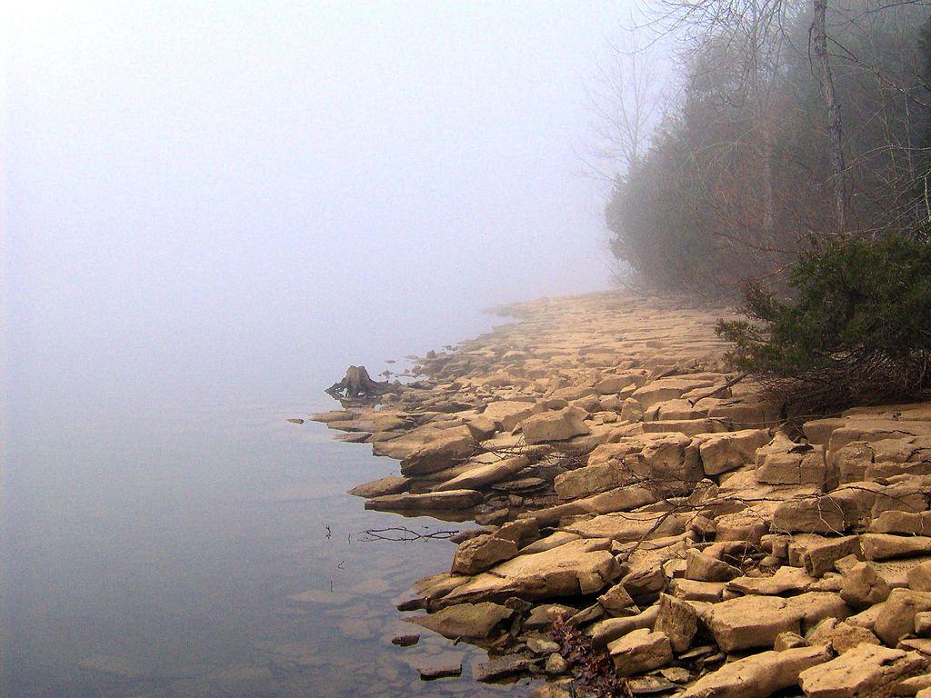 Foggy lake shoreline with flat, layered rocks and a misty forest.