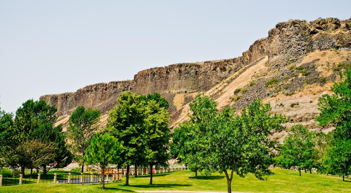 Lush green trees and grass in front of towering rocky cliffs under a bright sky.