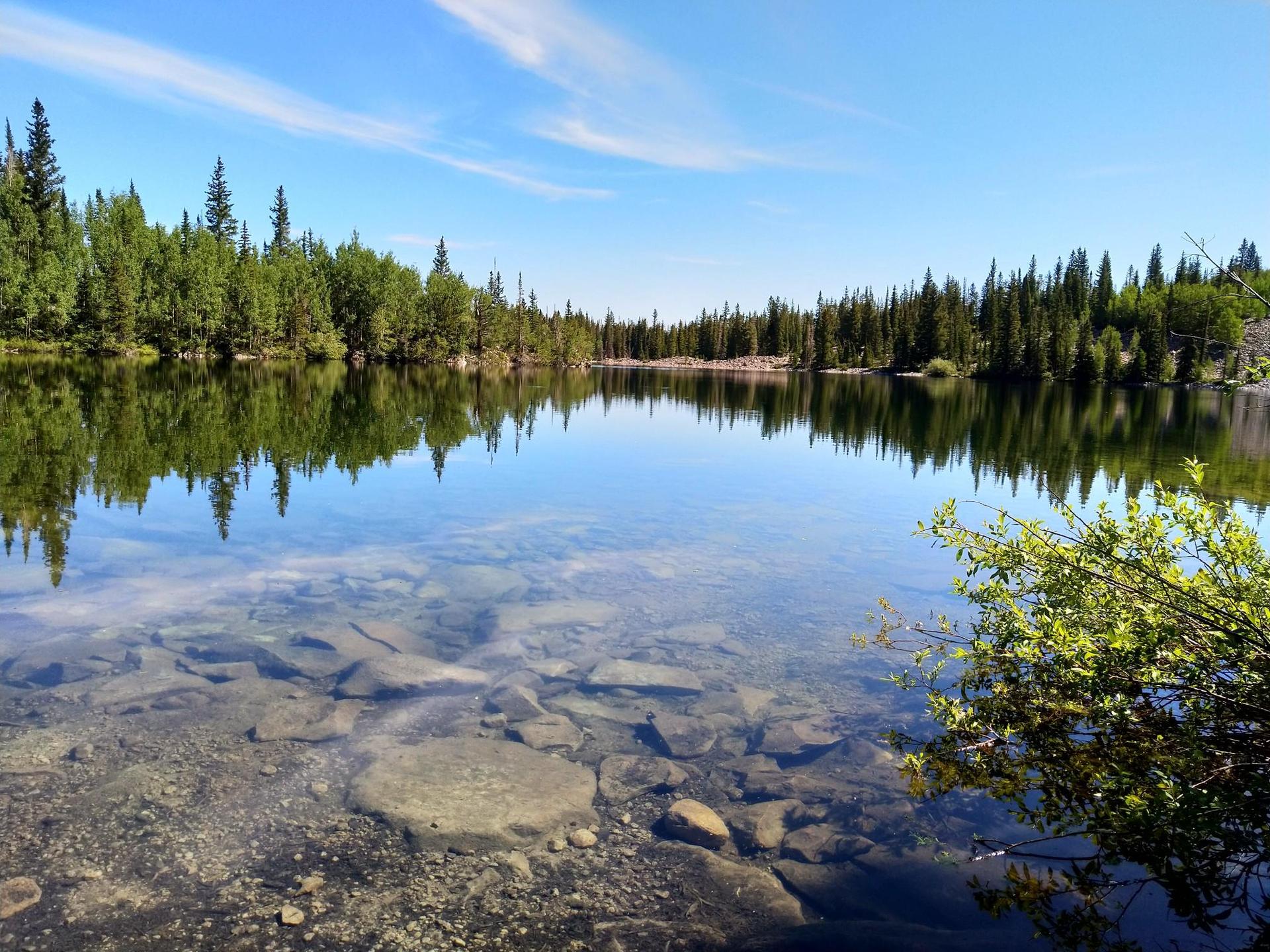 Clear lake with visible rocky bottom, surrounded by dense evergreen forest under blue sky.