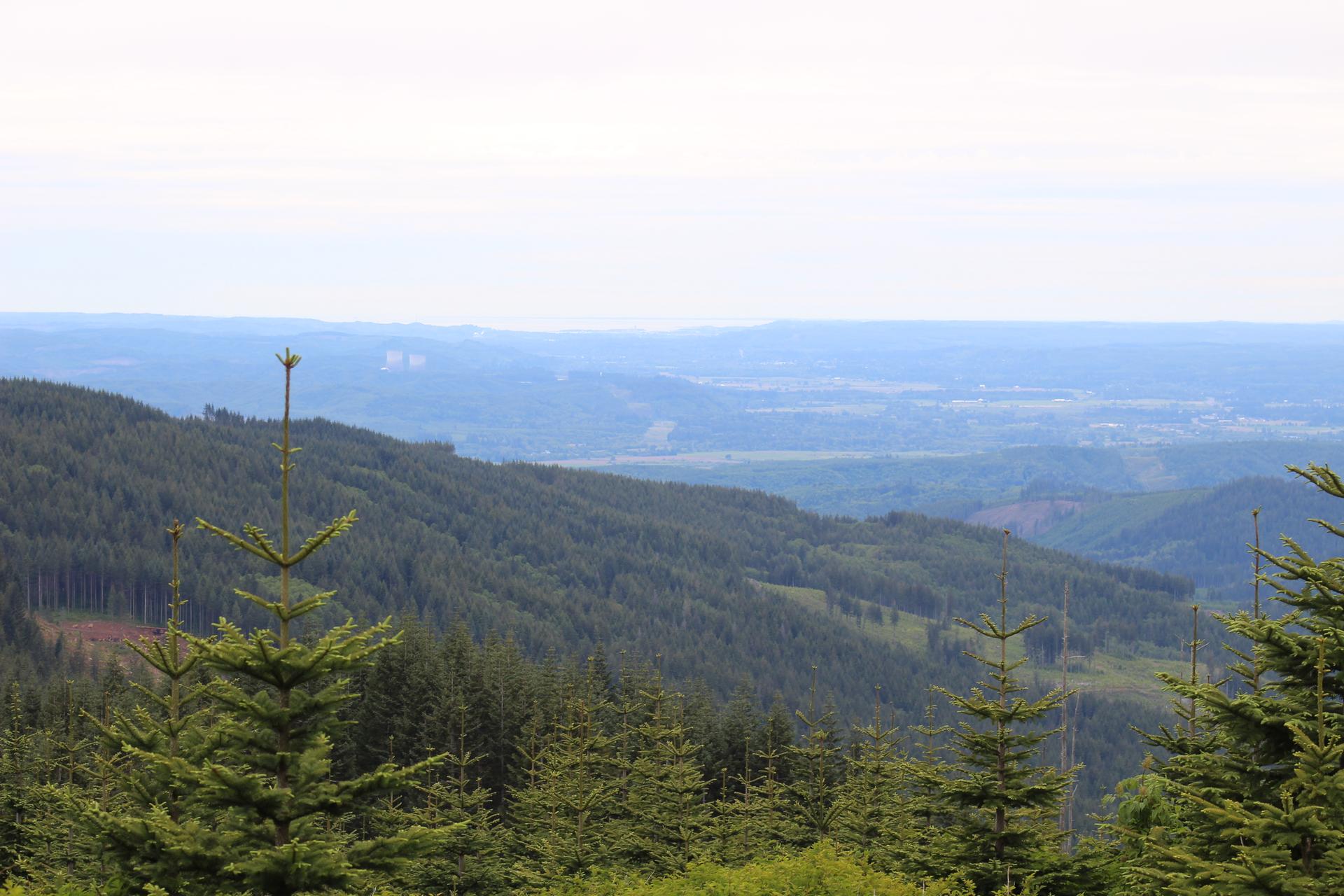 Forested hills stretch into a hazy valley under an overcast sky.