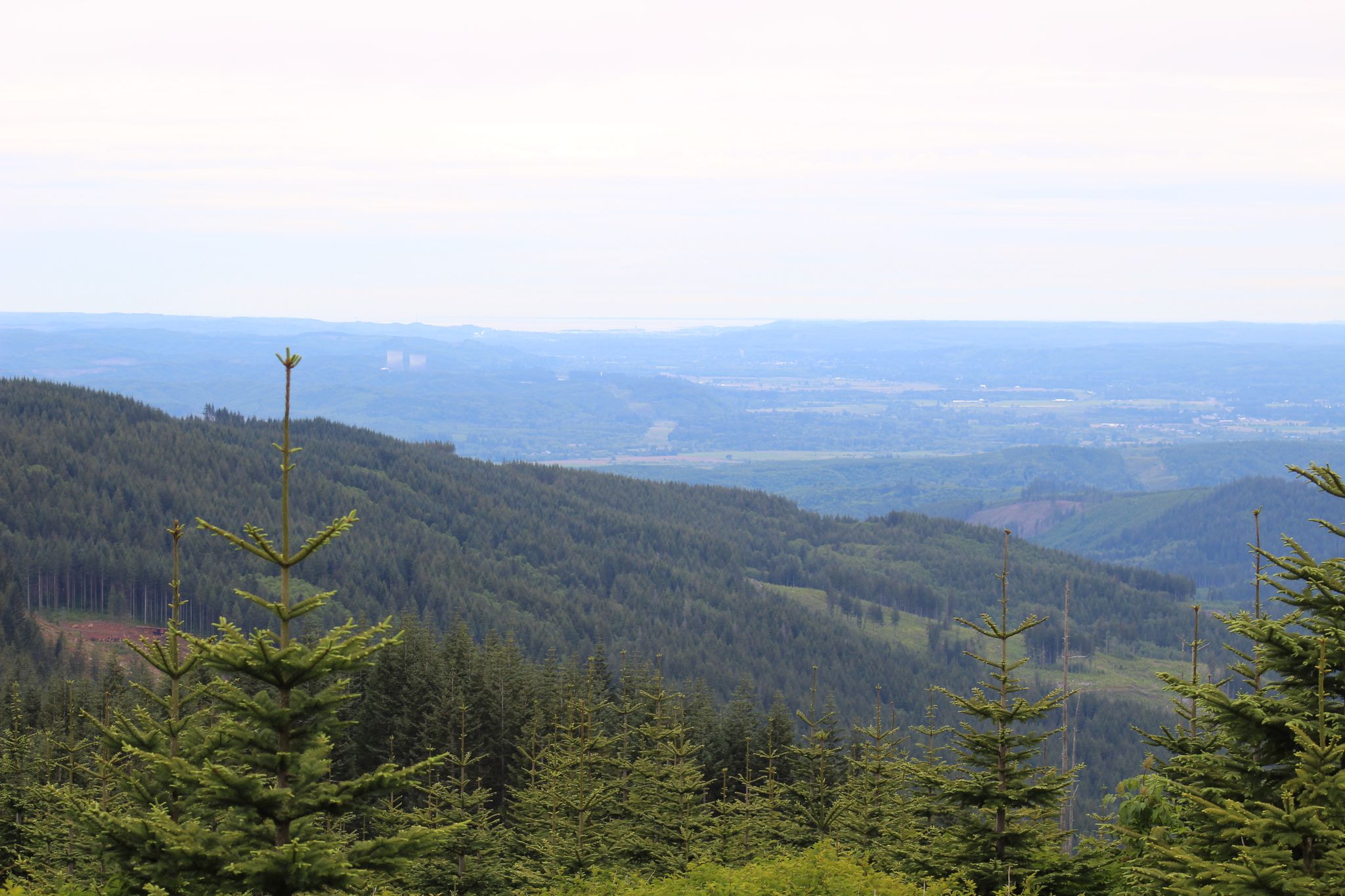 Forested hills stretch into a hazy valley under an overcast sky. - Capitol Peak via Greenline Trail