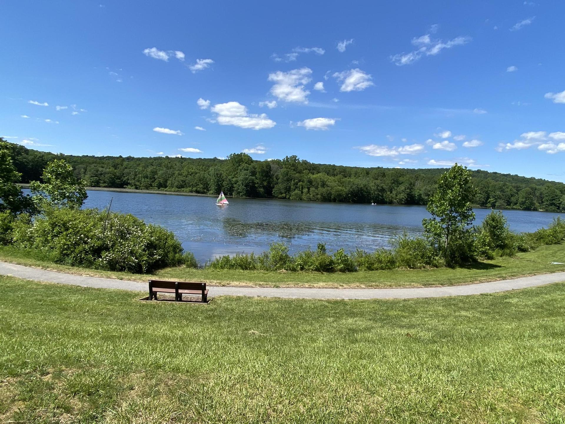 Sunny lake with a sailboat, green grass, and a bench under a blue sky.