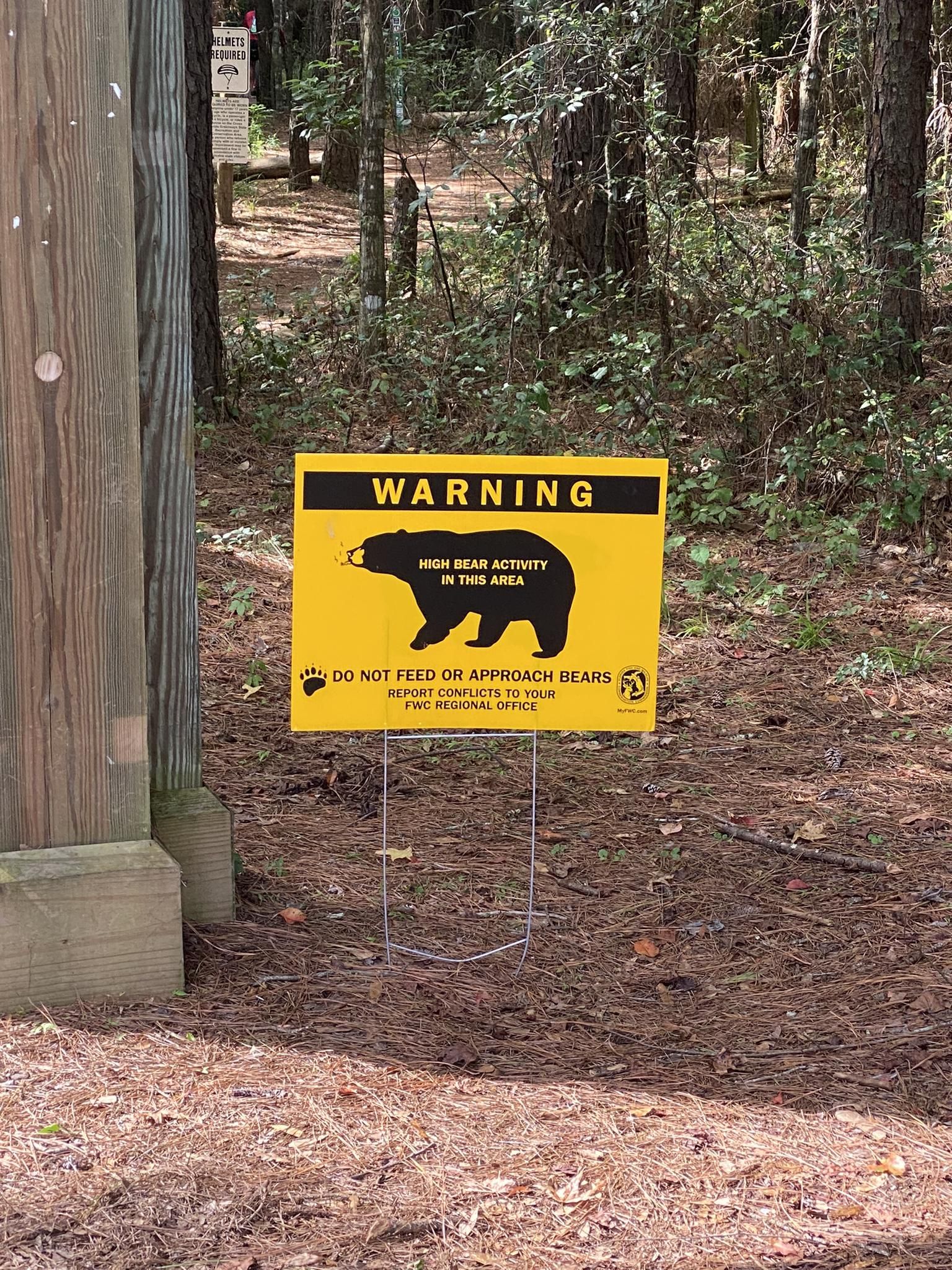 Yellow warning sign about high bear activity in a sunlit forest. - Santos Trail – Santos Tract loop from Landbridge Trailhead