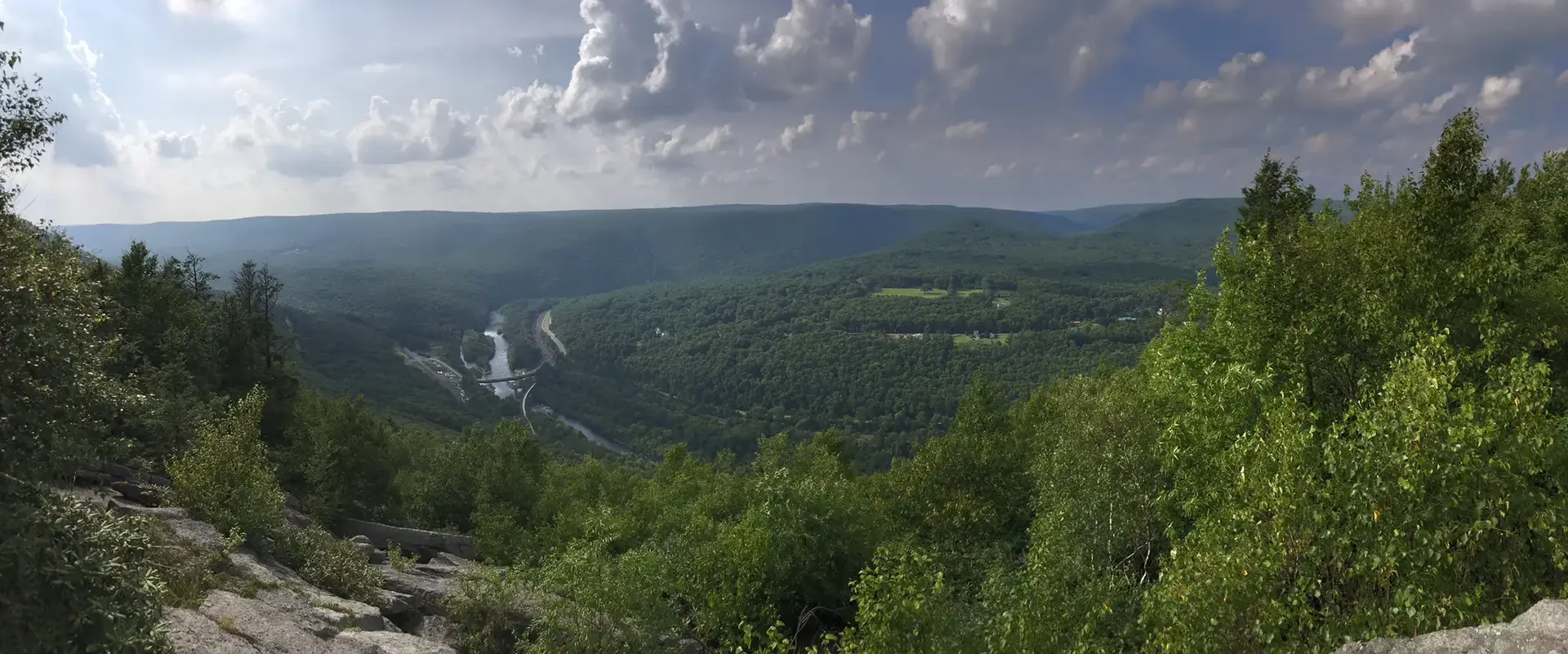 Panoramic view of a vast forested valley with a winding river.
