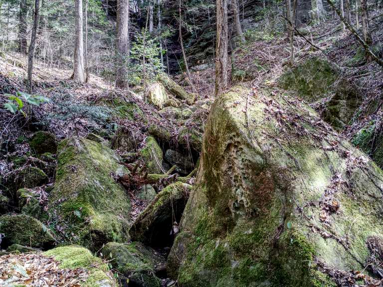 Sipsey Wilderness Canyon - Routes for Walking and Hiking | Komoot