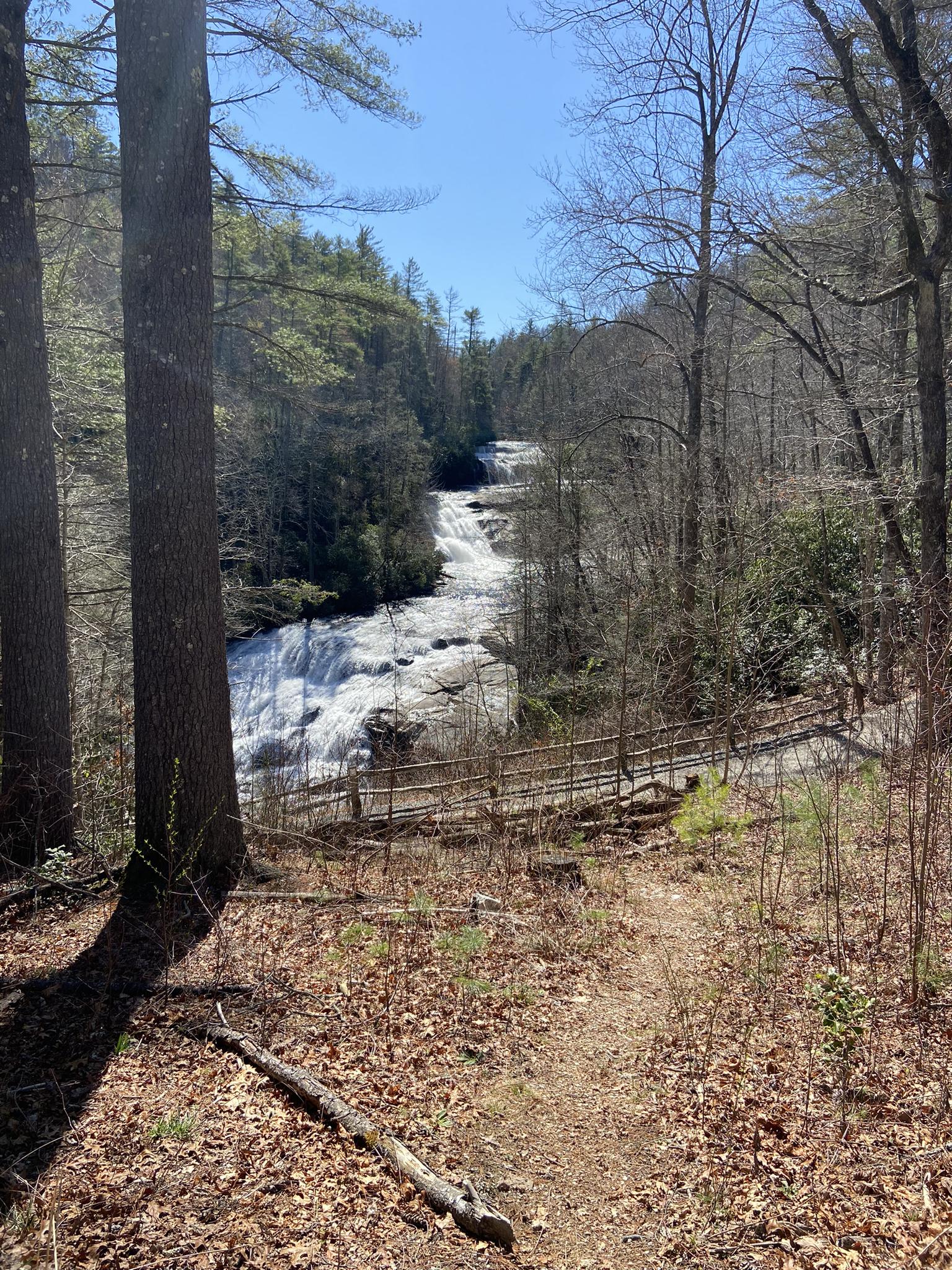 Distant waterfall seen through bare trees, with a path in the foreground.
