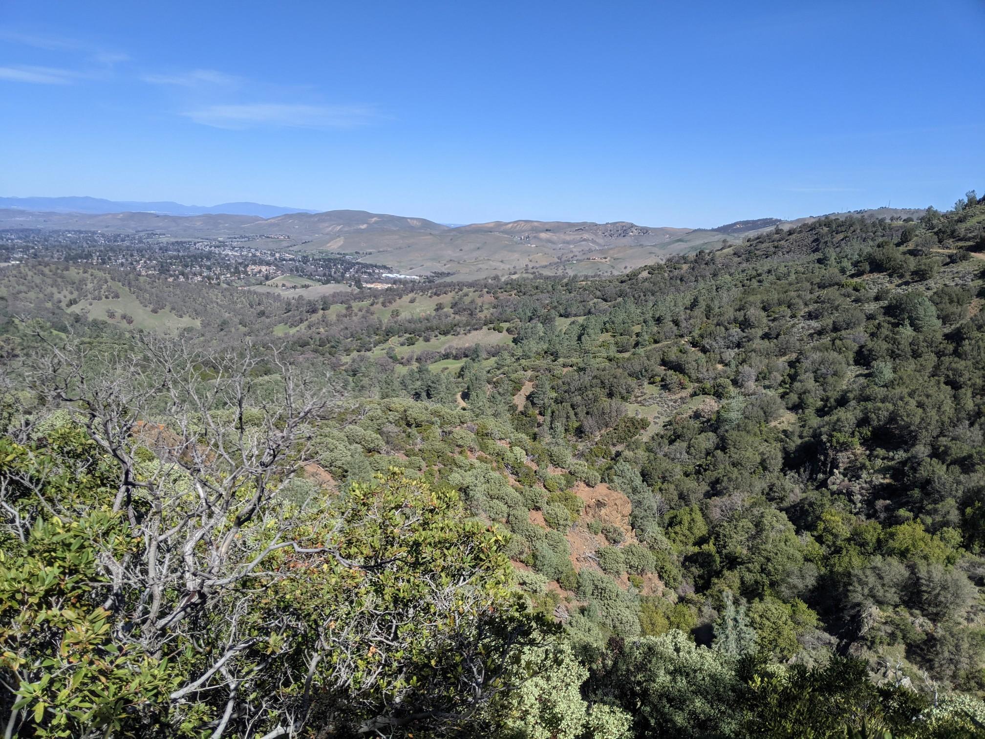 Expansive view of rolling green hills covered in dense trees under a clear sky.