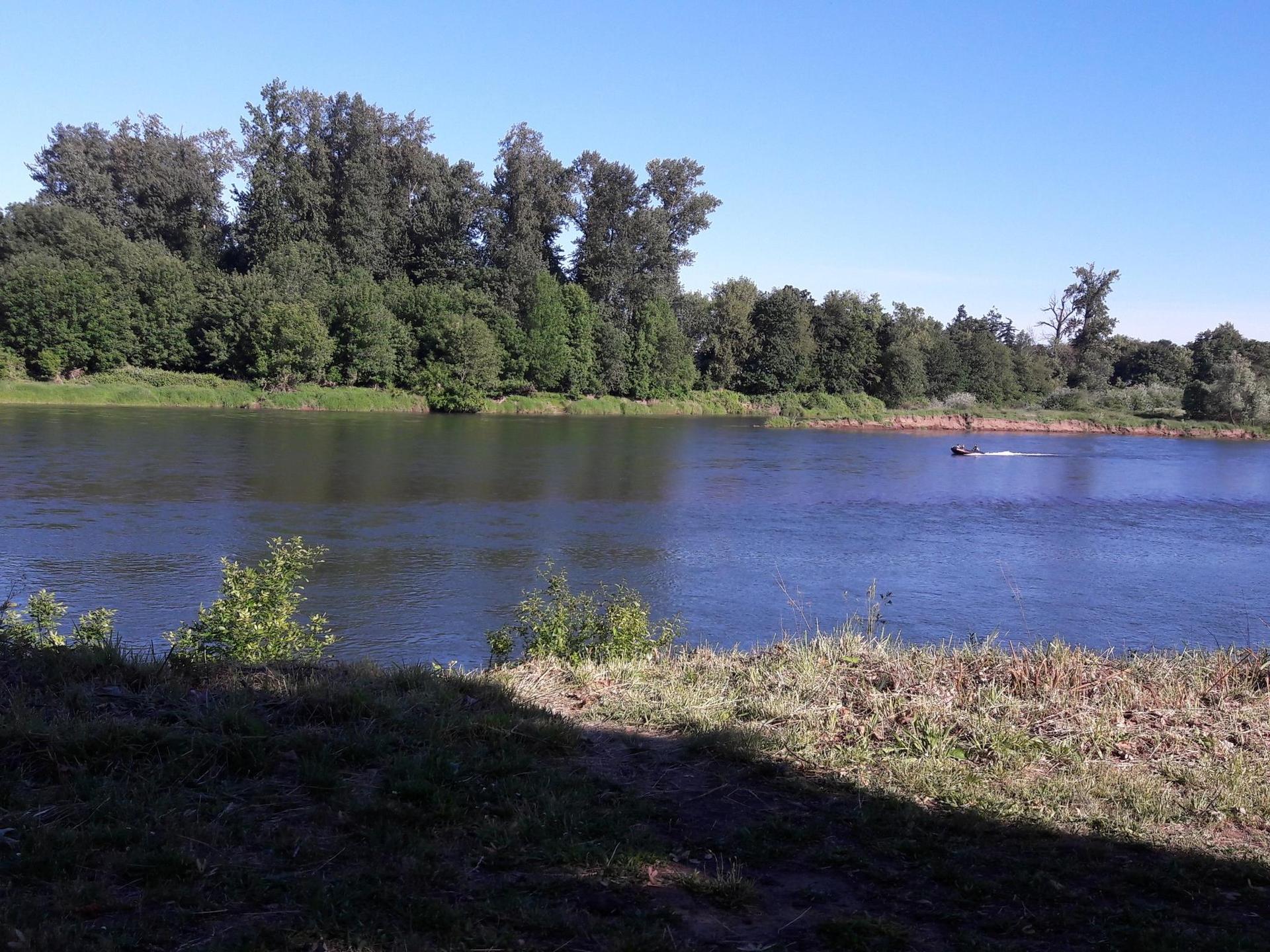 Wide river flows past dense green forest under a clear blue sky.