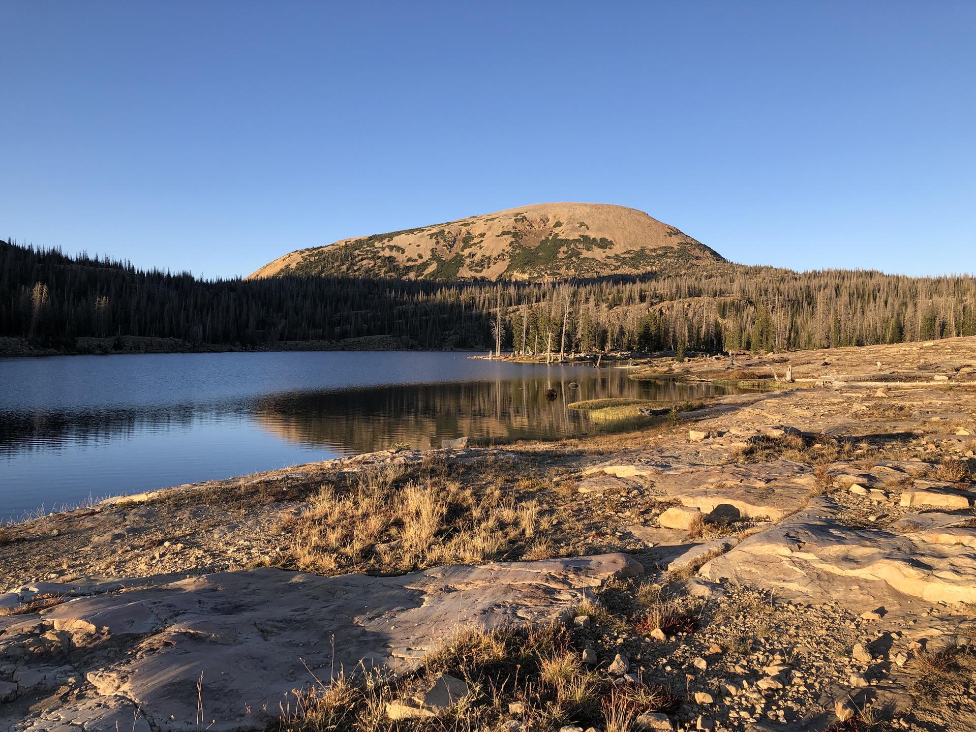 Golden light illuminates a calm lake, rocky shore, forest, and distant mountain.