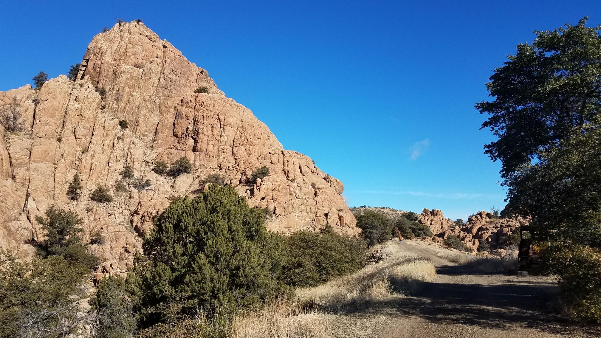 Large rocky mountain with sparse trees under a clear blue sky.