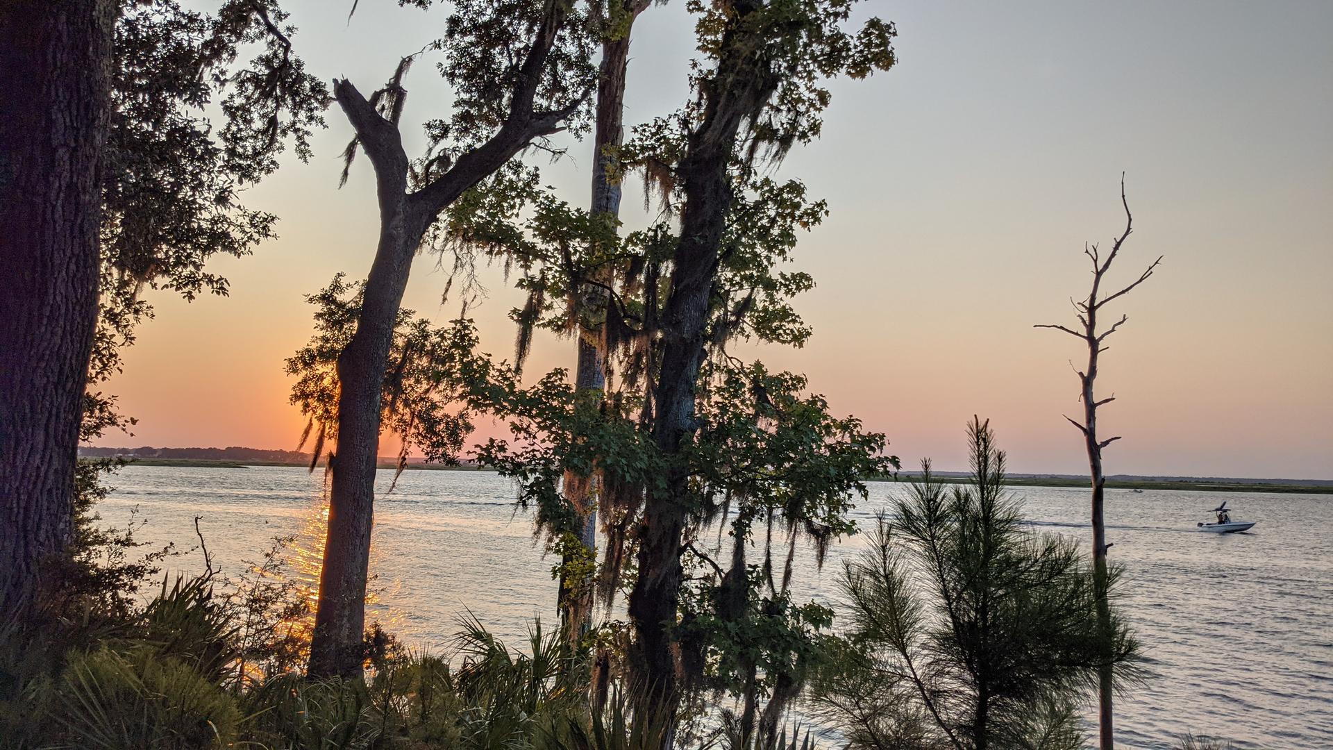 Sunset over a wide river with trees in the foreground and a distant boat.