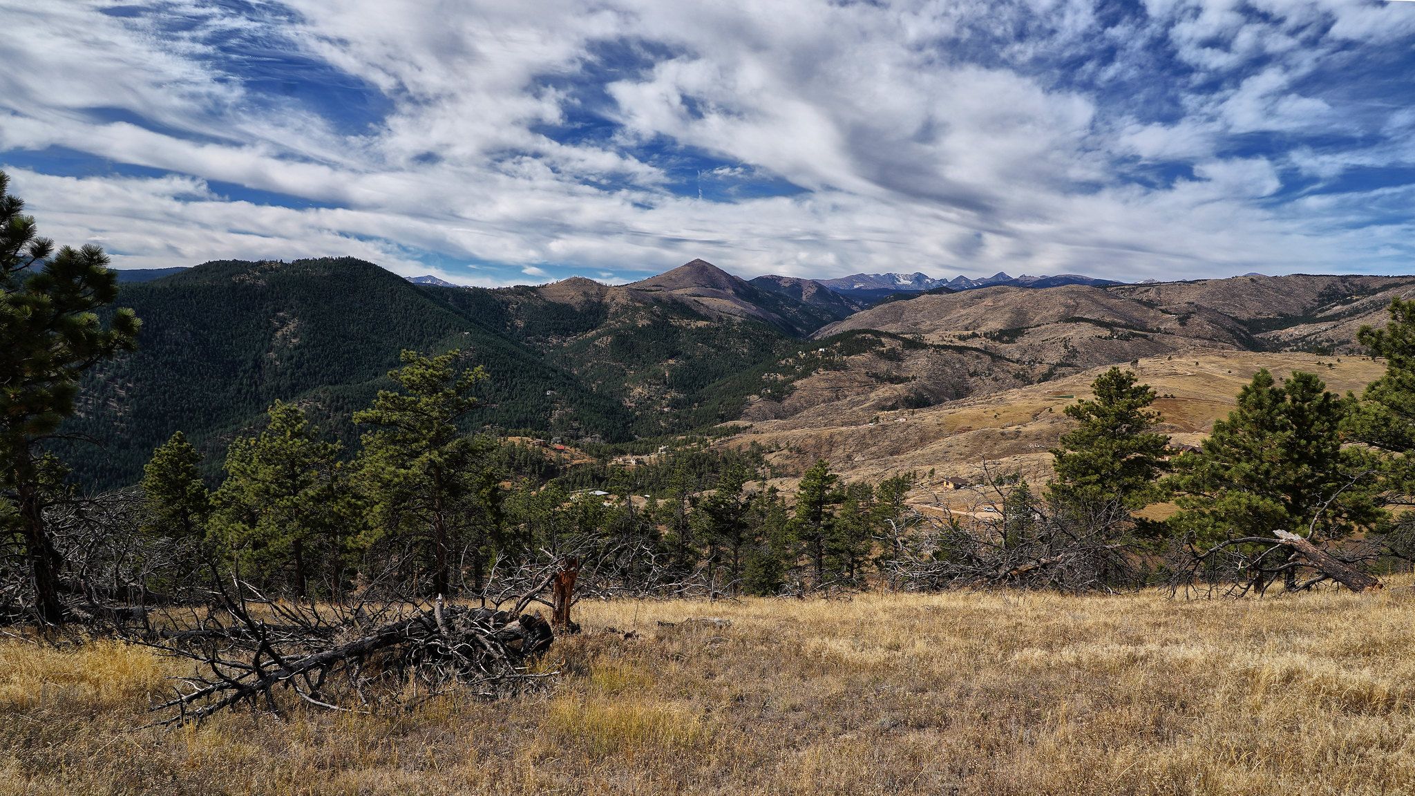 Expansive mountain landscape with evergreen trees, dry grass, and a partly cloudy sky. - Bald Mountain loop