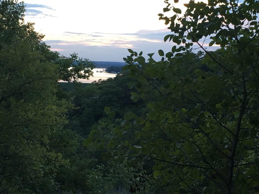 A distant lake is visible through green tree foliage at dusk.