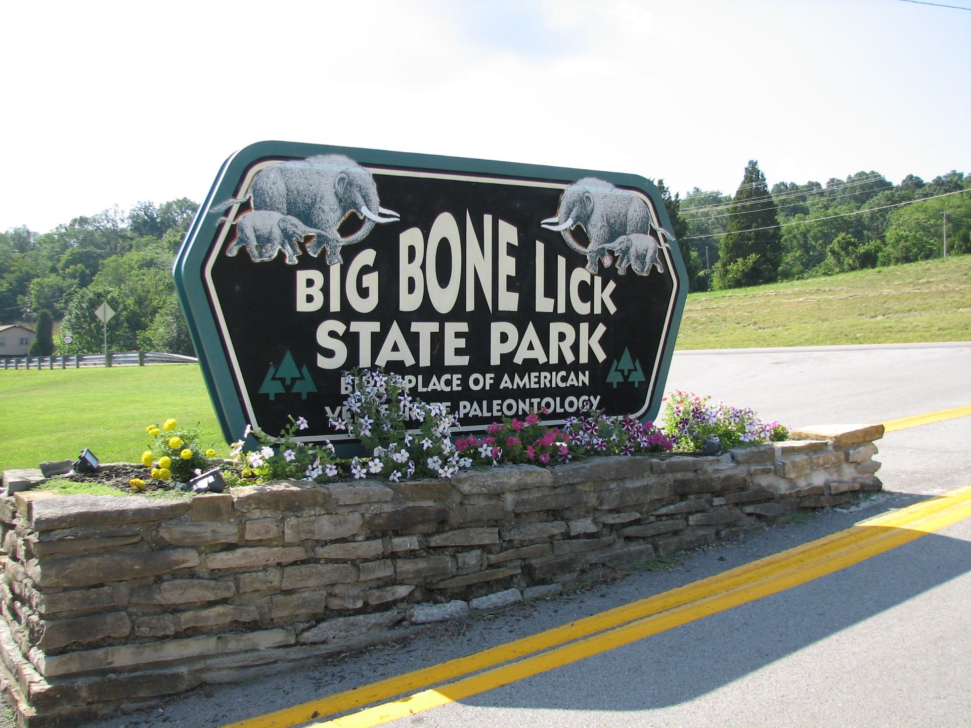 A large sign with elephant illustrations and colorful flowers by a road.
